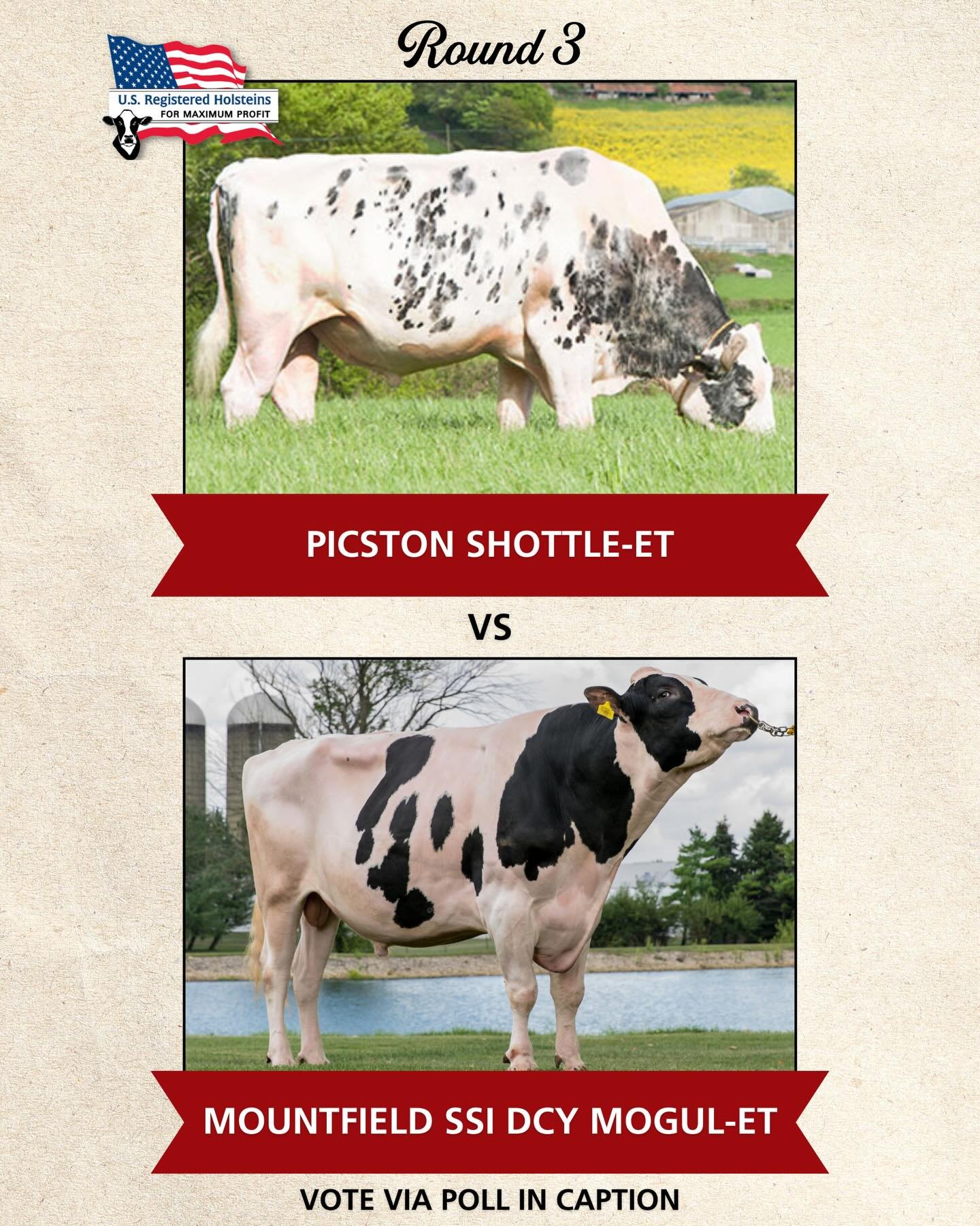 Round 3 of our historical cow bracket challenge is here, and the competition is heating up! 

Last round was a close battle! Hanoverhill Starbuck narrowly defeated Braedale Goldwyn by just 22 votes.

Round 3 is here! Click &ldquo;vote&rdquo; below to
