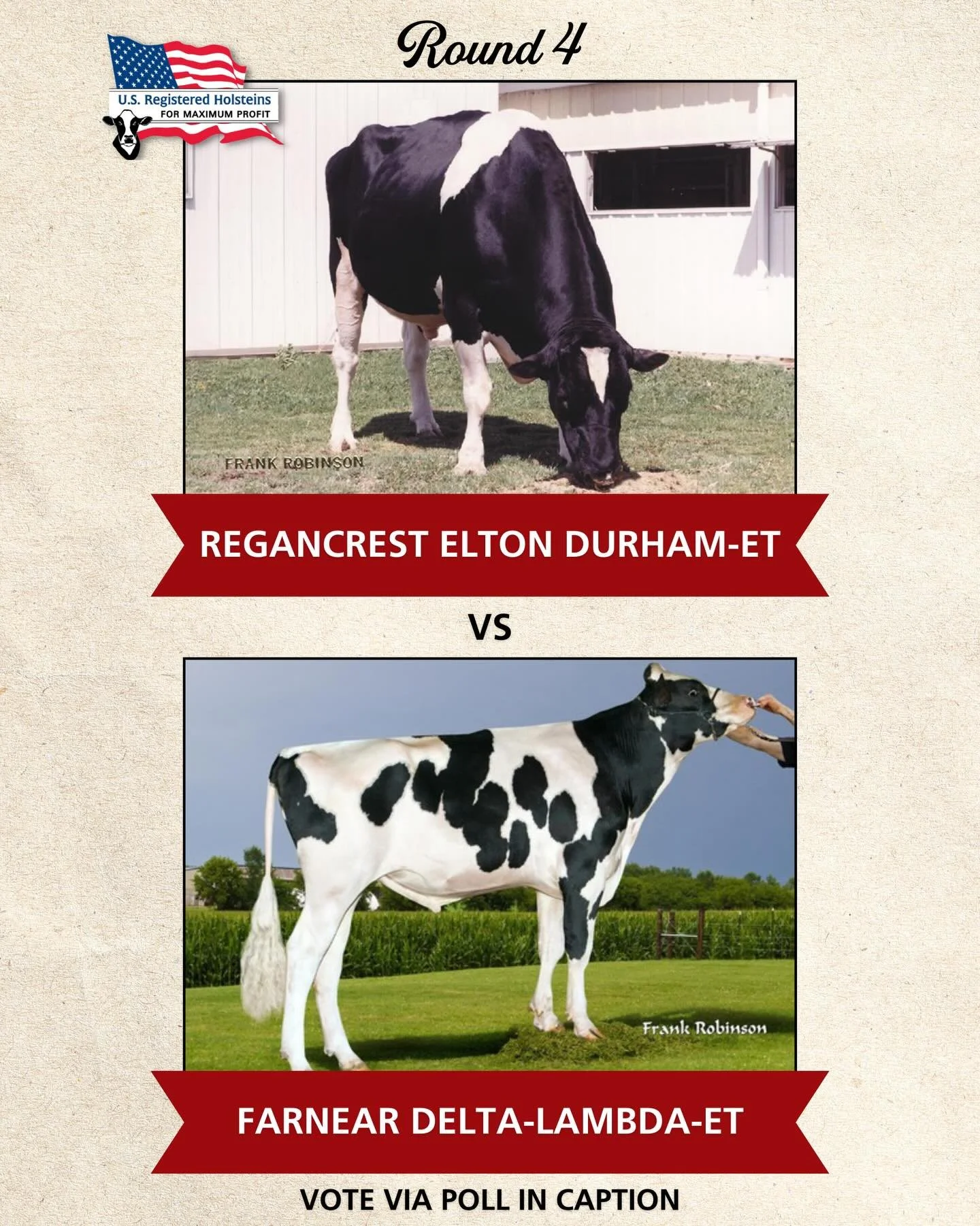 The Historical Cow Bracket is back, and Round 4 is underway!

In the last round, Picston Shottle-ET came out on top against Mountfield SSI DCY Mogul-ET and is advancing to the next stage.

Click &ldquo;vote&rdquo; below to select your favorite!

Don&