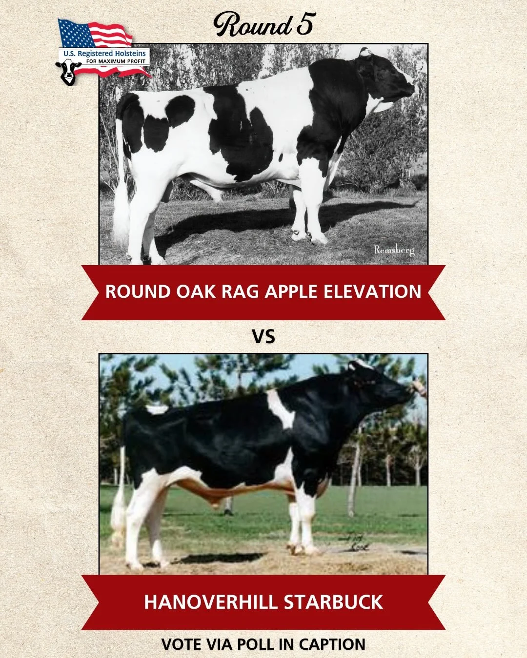 It&rsquo;s time for Round 5 of our historical cow bracket challenge!

Click &ldquo;vote&rdquo; in the caption below to select your favorite!

Thanks to everyone who has voted so far and dont forget to leave your reasons for your pick in the comments!