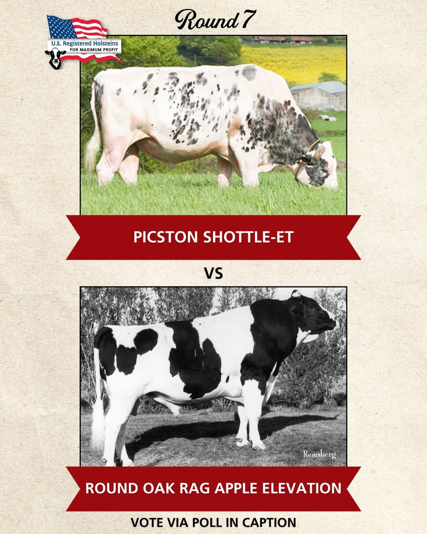 We&rsquo;re on to our final round of the Historical Bull Bracket.

Who is going to take the crown? You decide.
&nbsp;
Click &ldquo;vote&rdquo; in the caption below to select your favorite!
&nbsp;
Thanks to everyone who has voted so far and dont forge