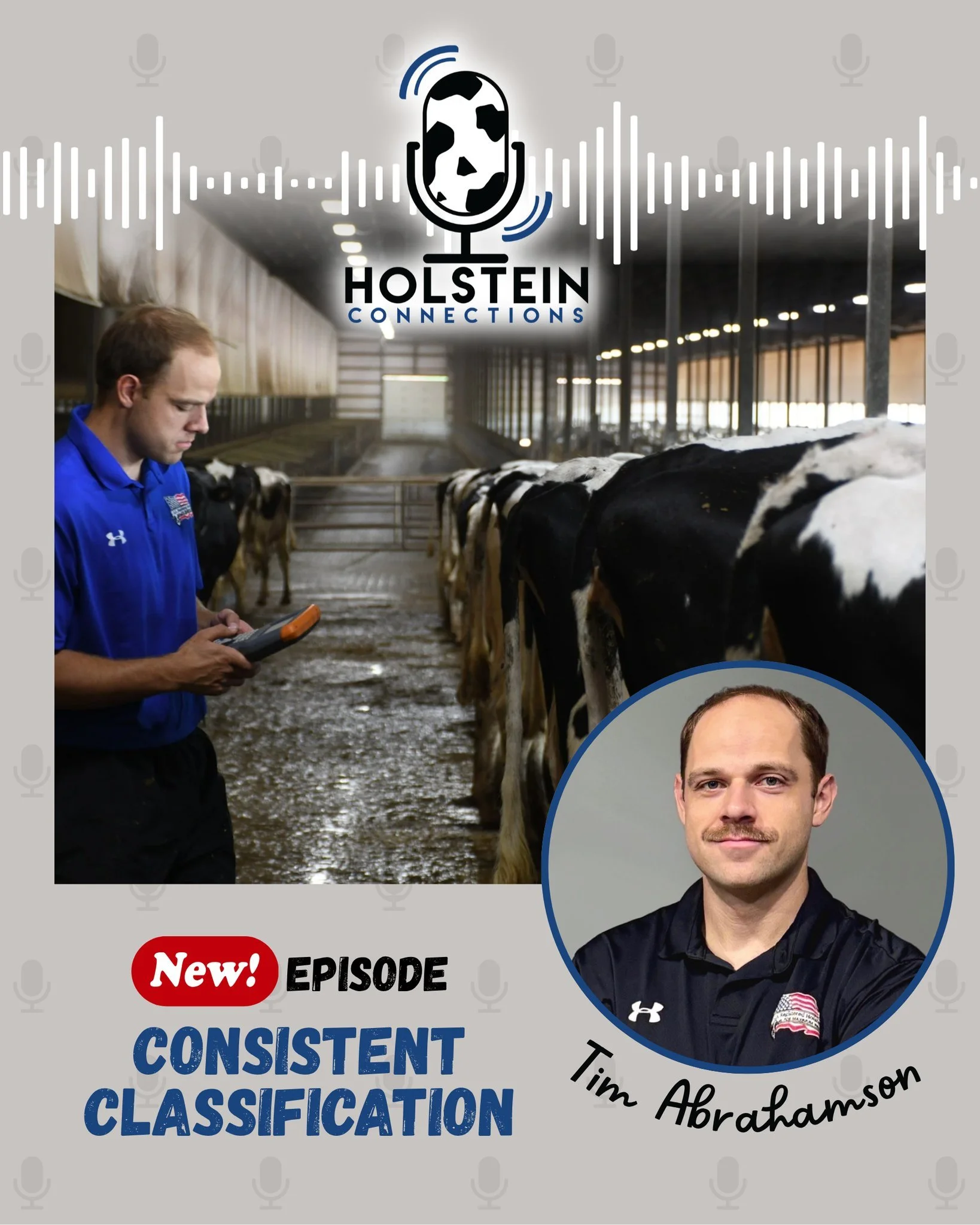 Ever wondered what goes on behind the scenes of the classification program?

In the latest Holstein Connections podcast episode, Tim Abrahamson, Senior Manager of Conformation Evaluation, shares insights into classification, explains how to make the 