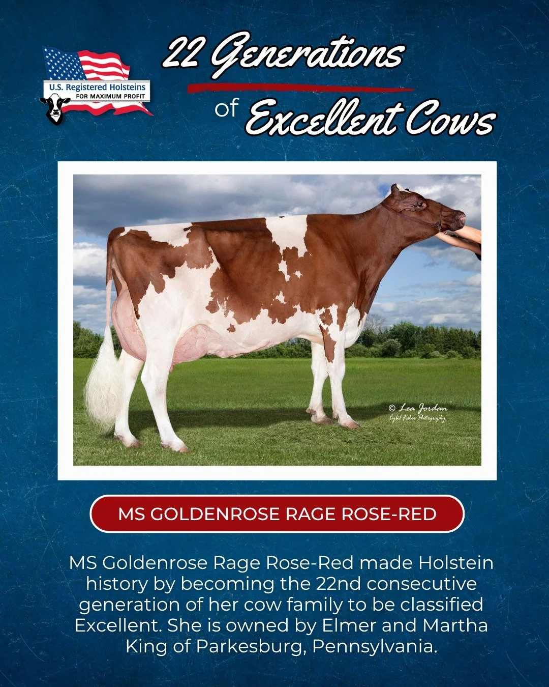 22 generations of Excellent cows! 🎉🐄

MS Goldenrose Rage Rose-Red has made Holstein history as the 22nd consecutive generation of her cow family to be classified Excellent.

For owners Elmer and Martha King of Parkesburg, Pennsylvania, Rose is the 