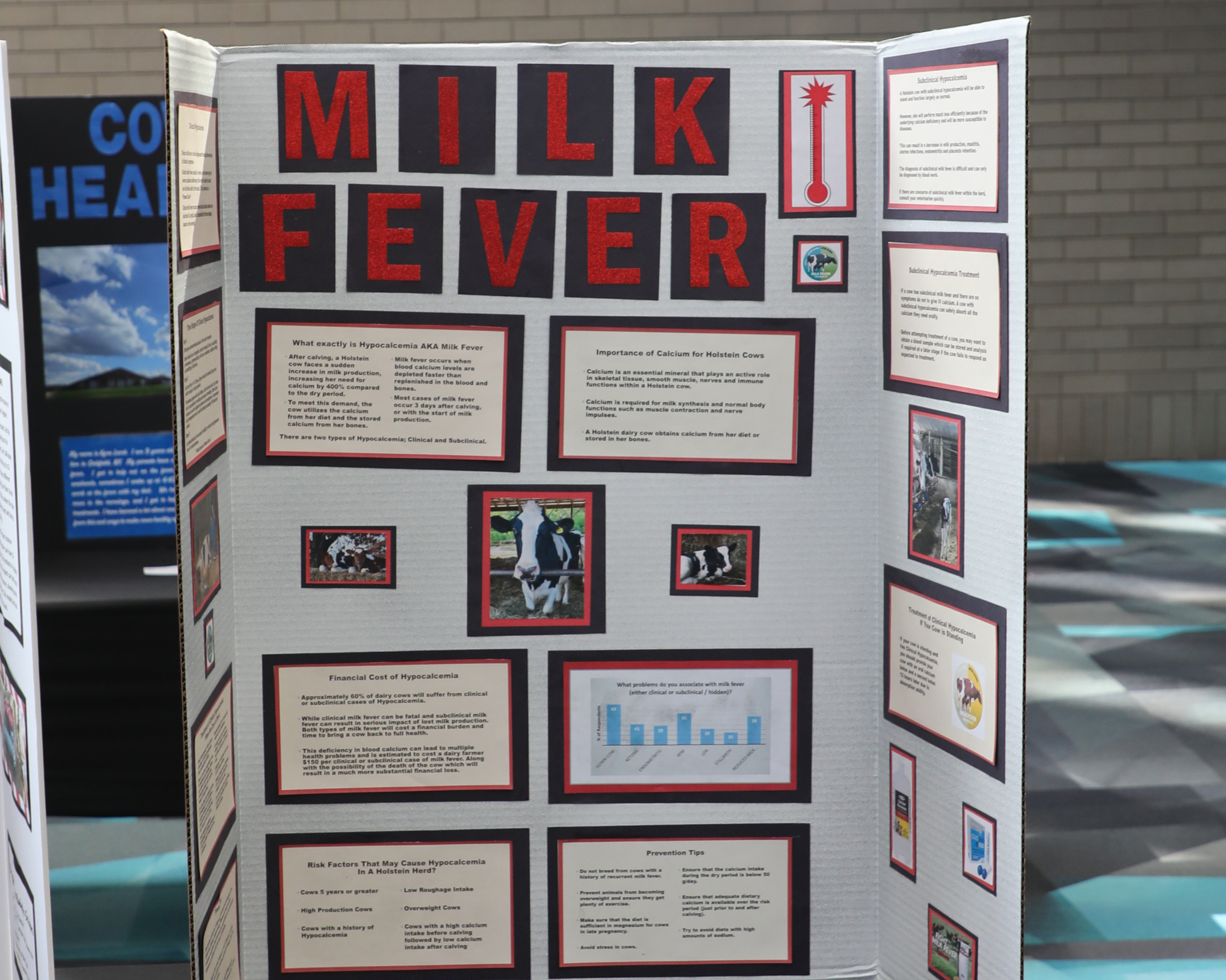 Folding Display_Milk Fever.png