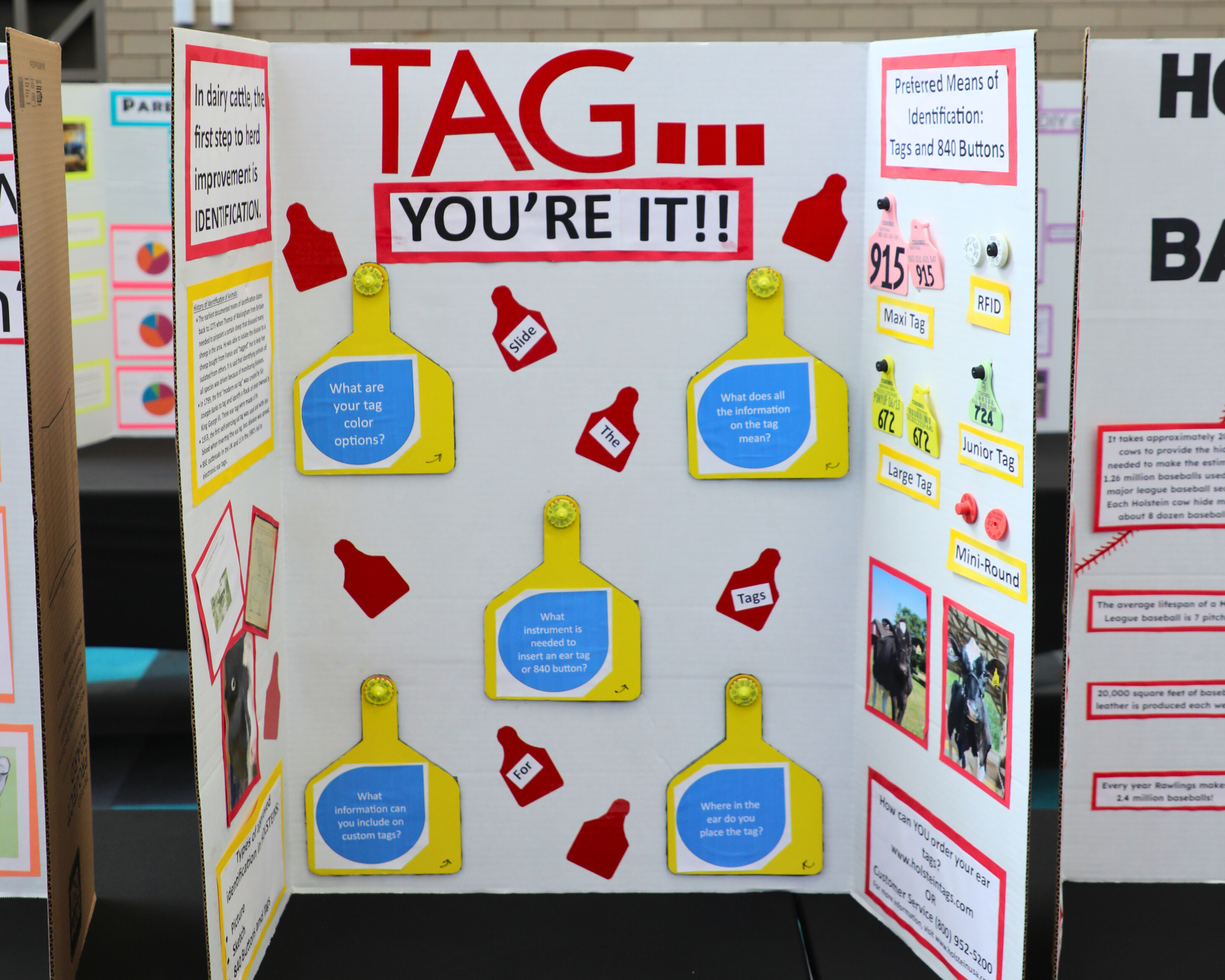 Folding Display_Tag.png