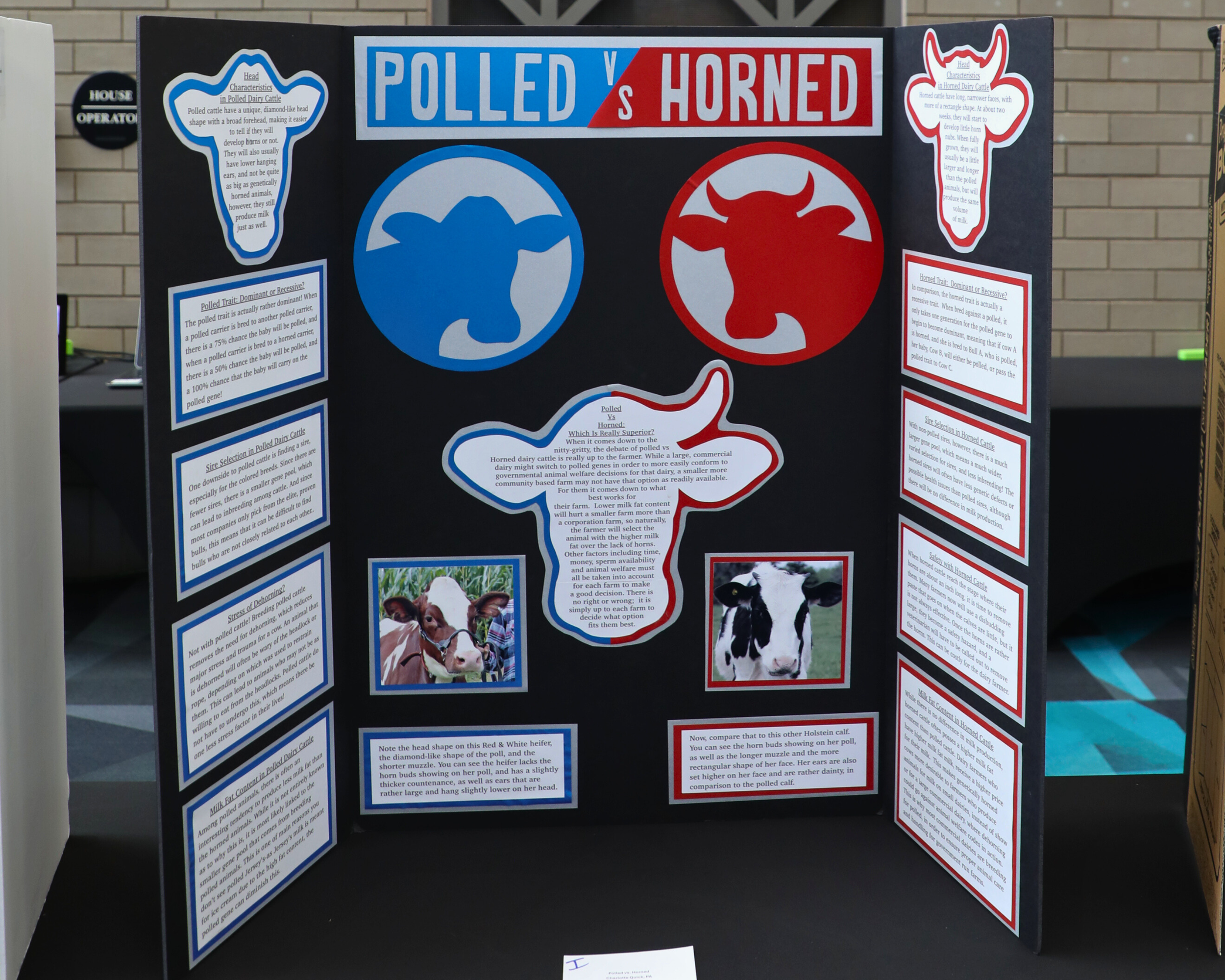 Folding Display_Polled V Horned.png