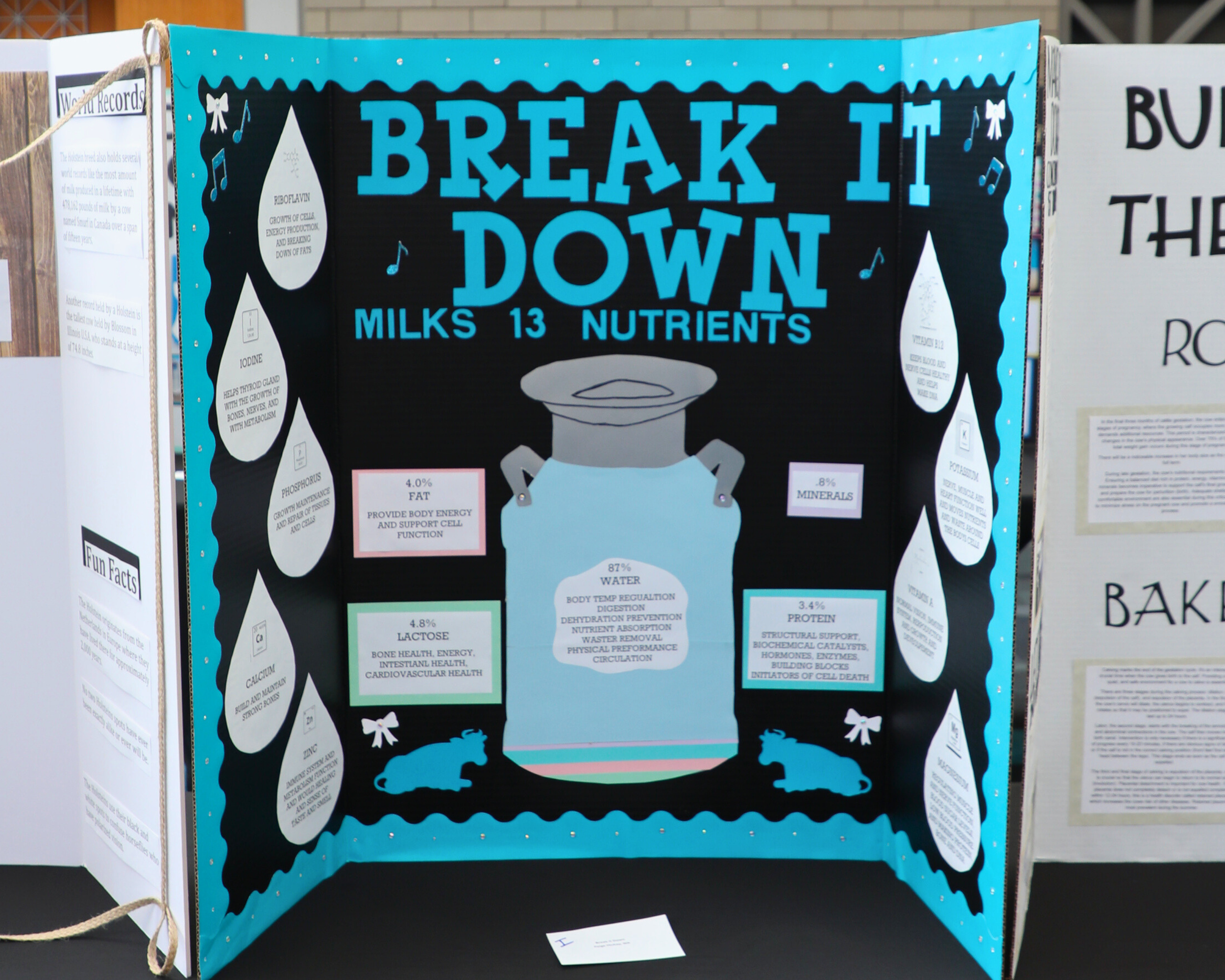 Folding Display_13 Nutrients.png