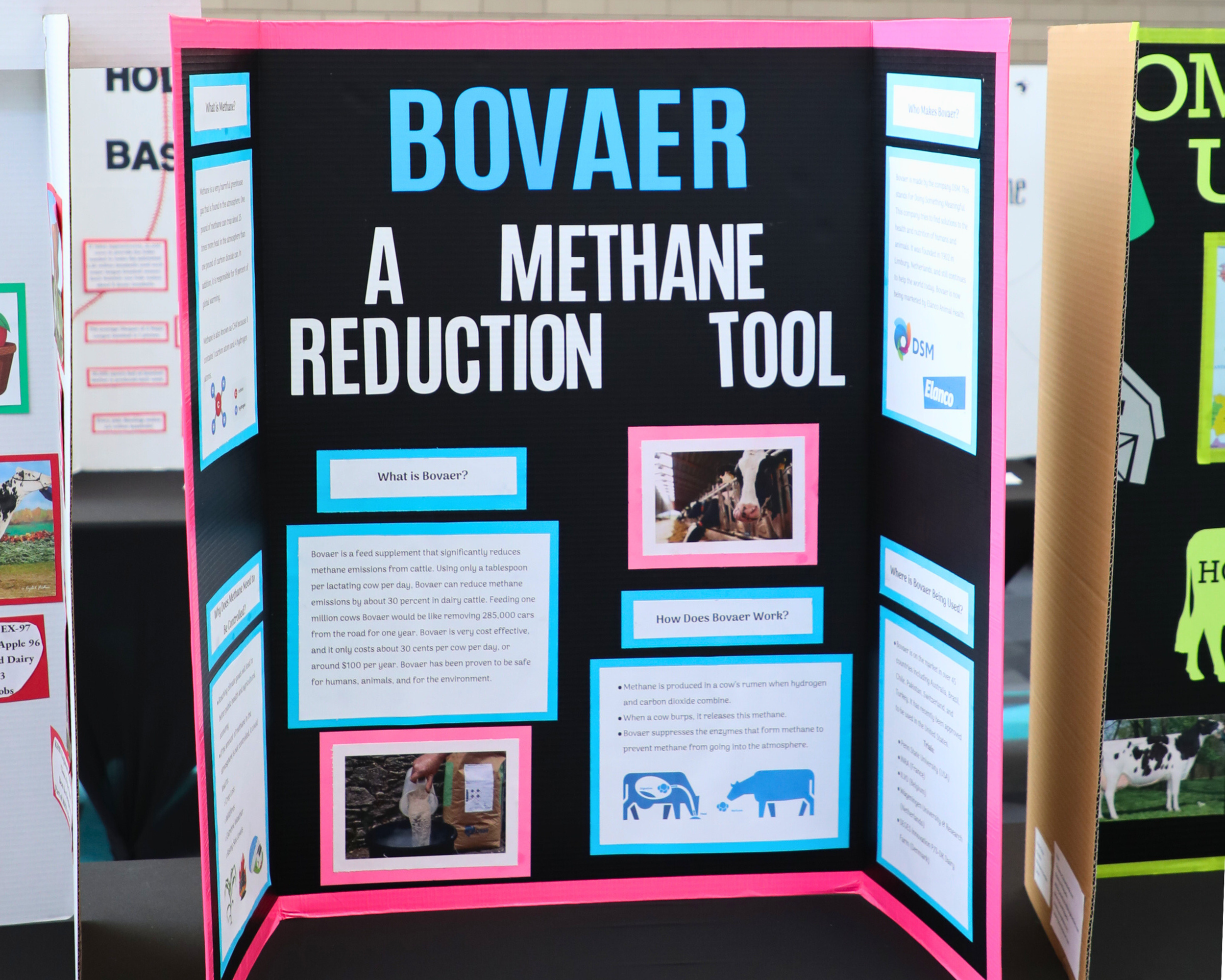 Folding Display_Bovaer.png