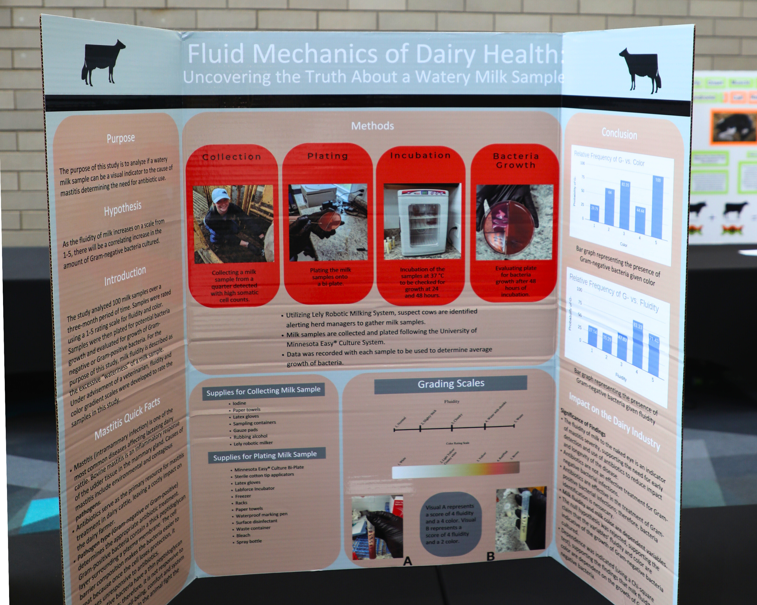 Folding Display_Watery Milk Sample.png