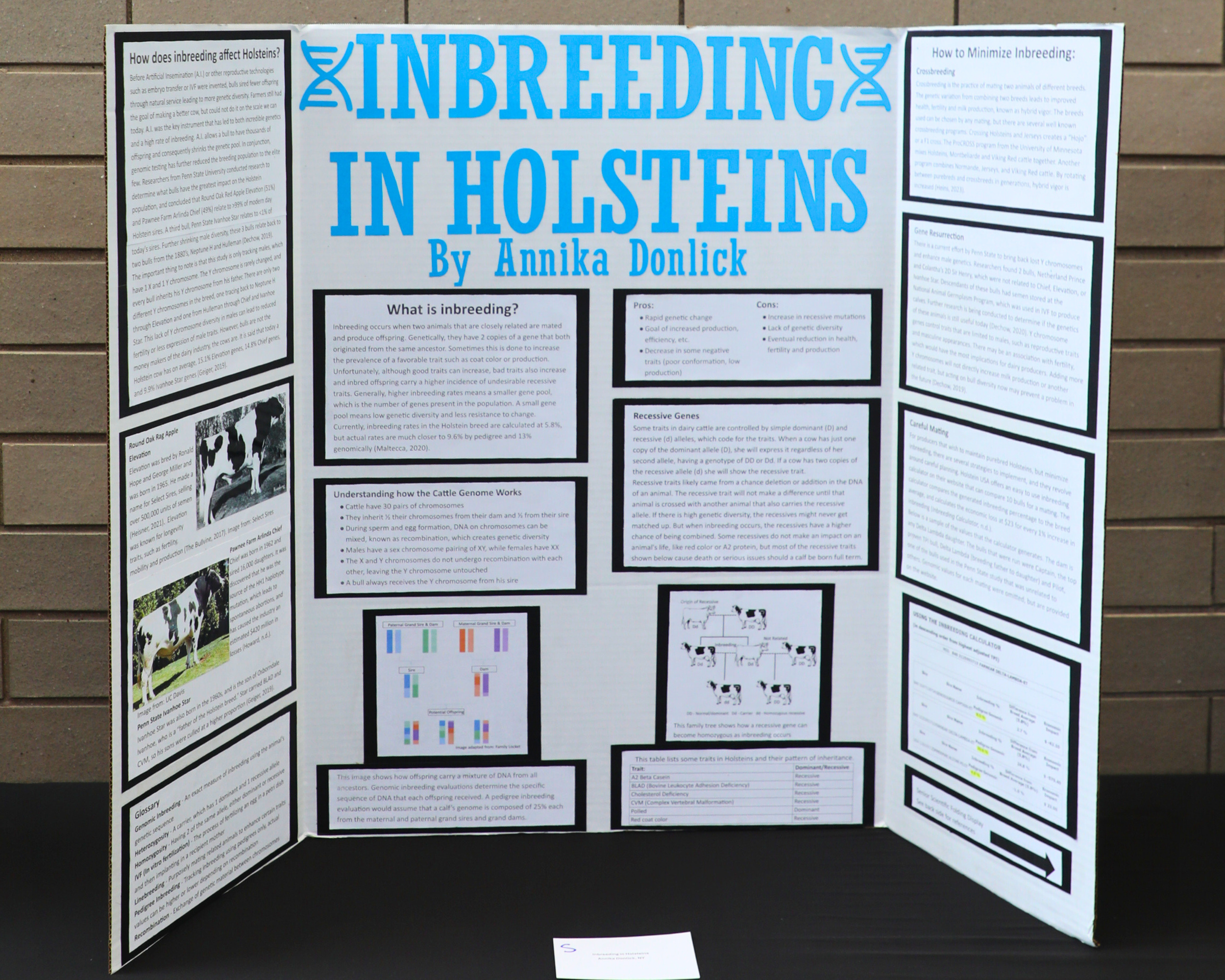 Folding Display_Inbreeding.png