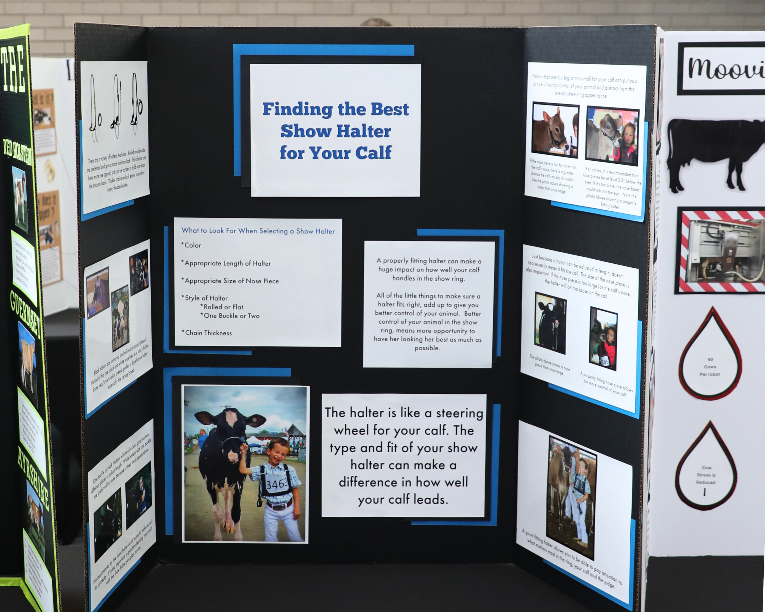 Folding Display_Show Halter.png