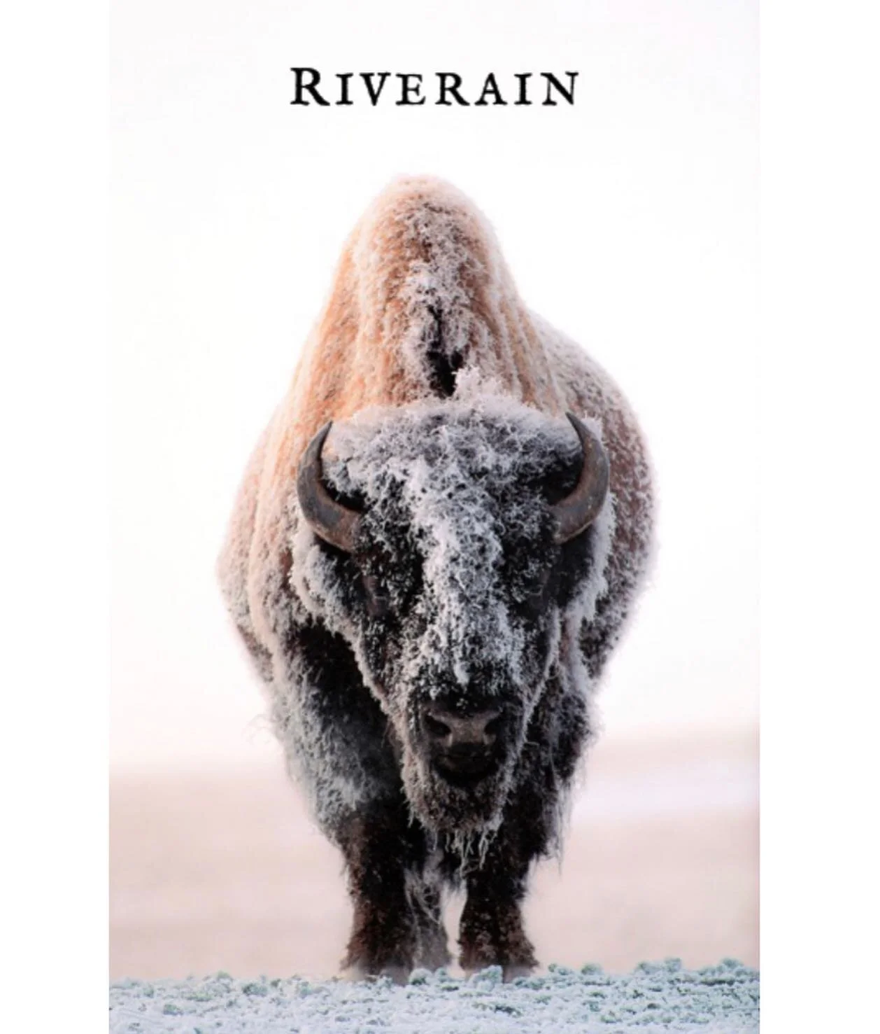 Recognize this guy? Yup, it&rsquo;s that time of year again, our 2019 Riverain Reserve release is upon us. Next Tuesday 7/26 at 9:00am this wine goes live. We don&rsquo;t expect this wine to last long with our limited production. Be sure to mark your