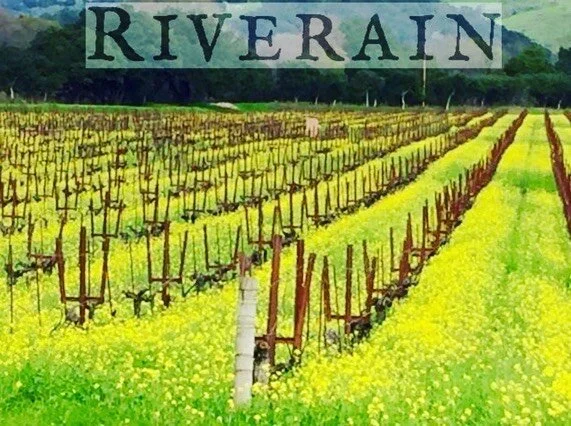 Cold rainy days in Napa call for a glass, or two of beautiful Cabernet. We are pleased to announce the release of our 95+ point 2019 Riverain Cabernet Sauvignon coming March 8th! As @jebdunnuck said &ldquo;I love this wine today, but the cellar is go