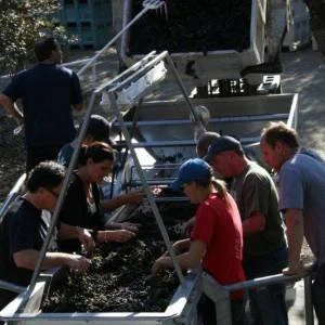 riverain-harvest-2011-123-300x300xc.jpg