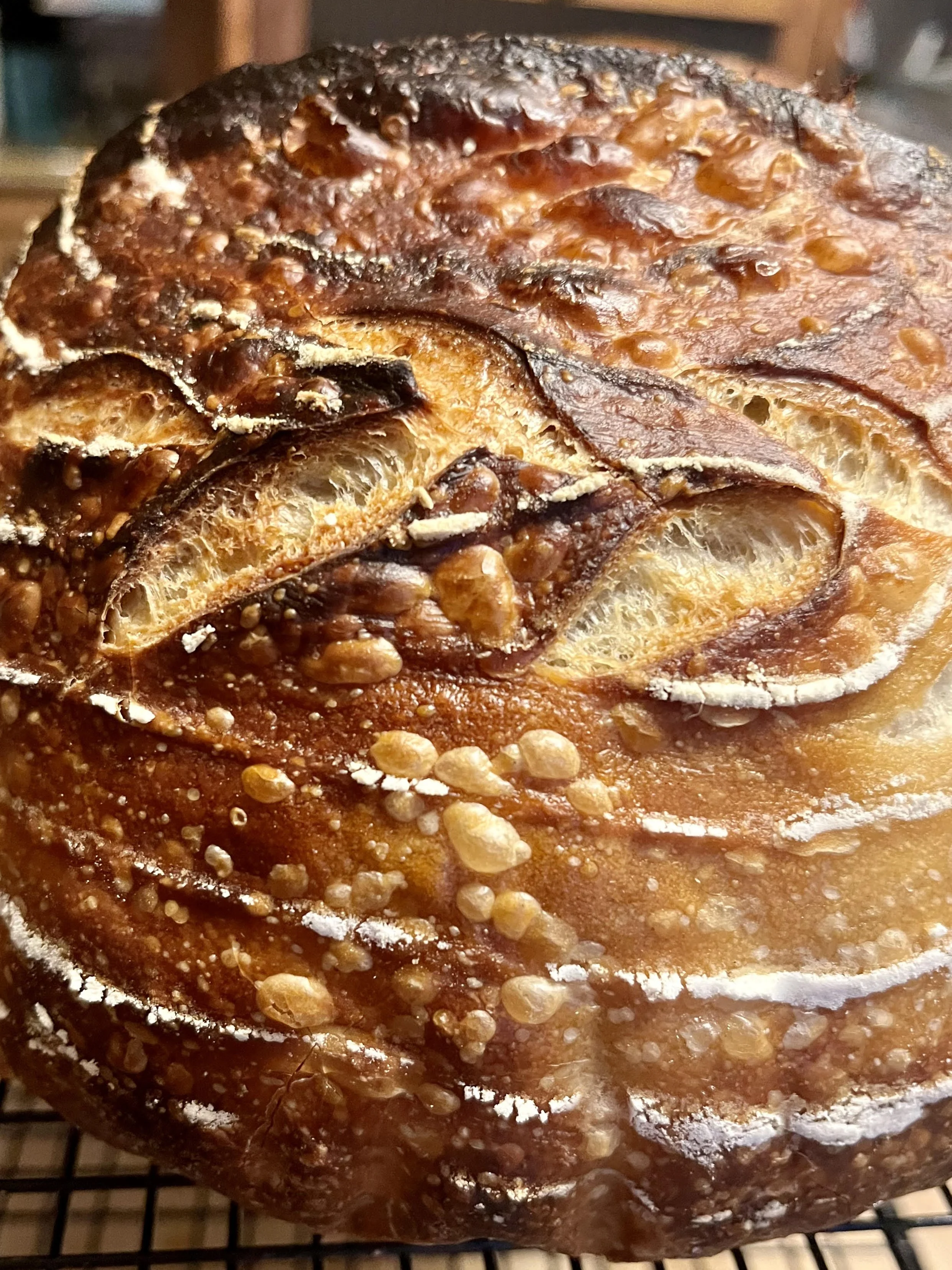 Sourdough Reference Guide