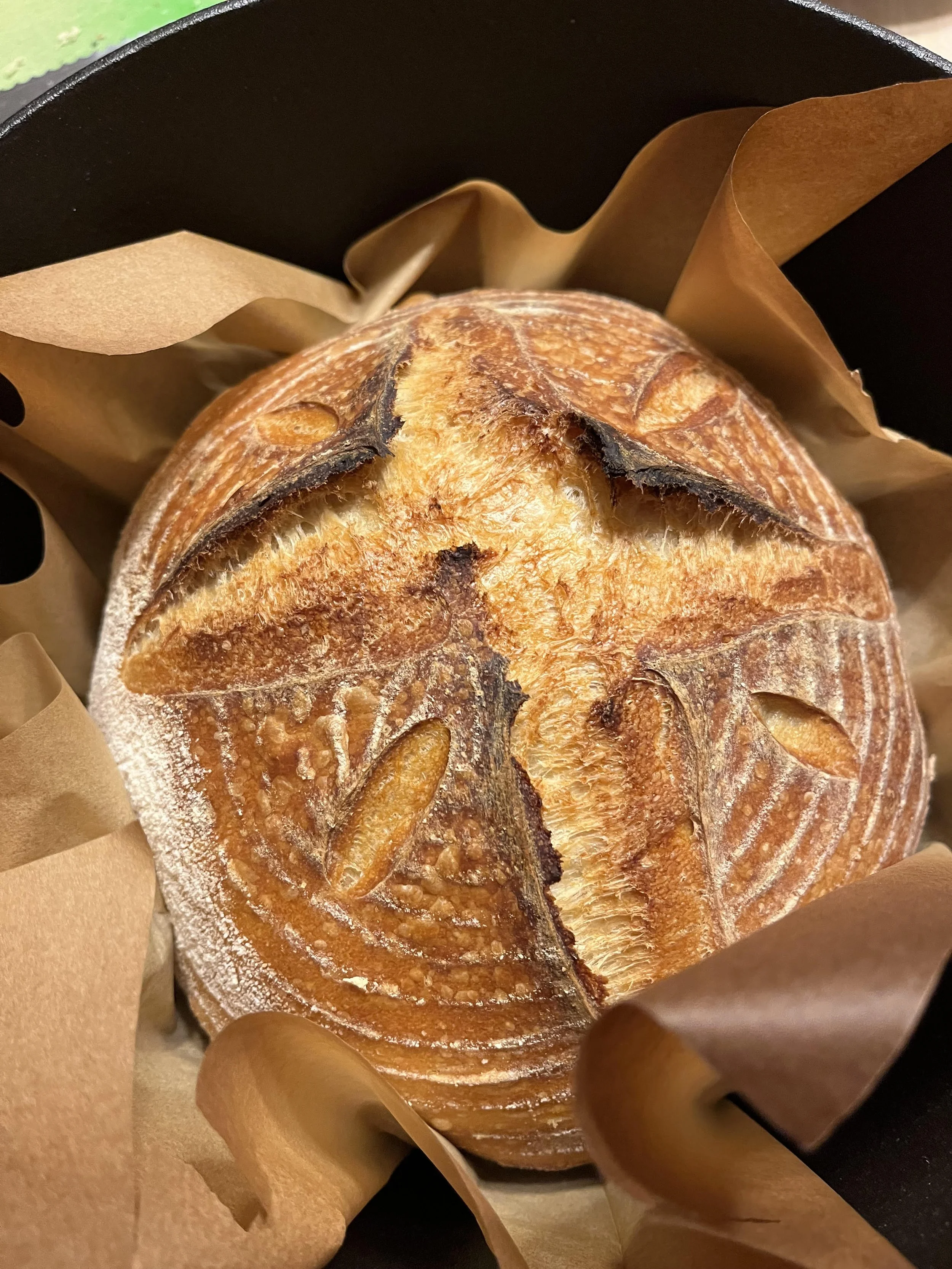 Sourdough Activation Instructions