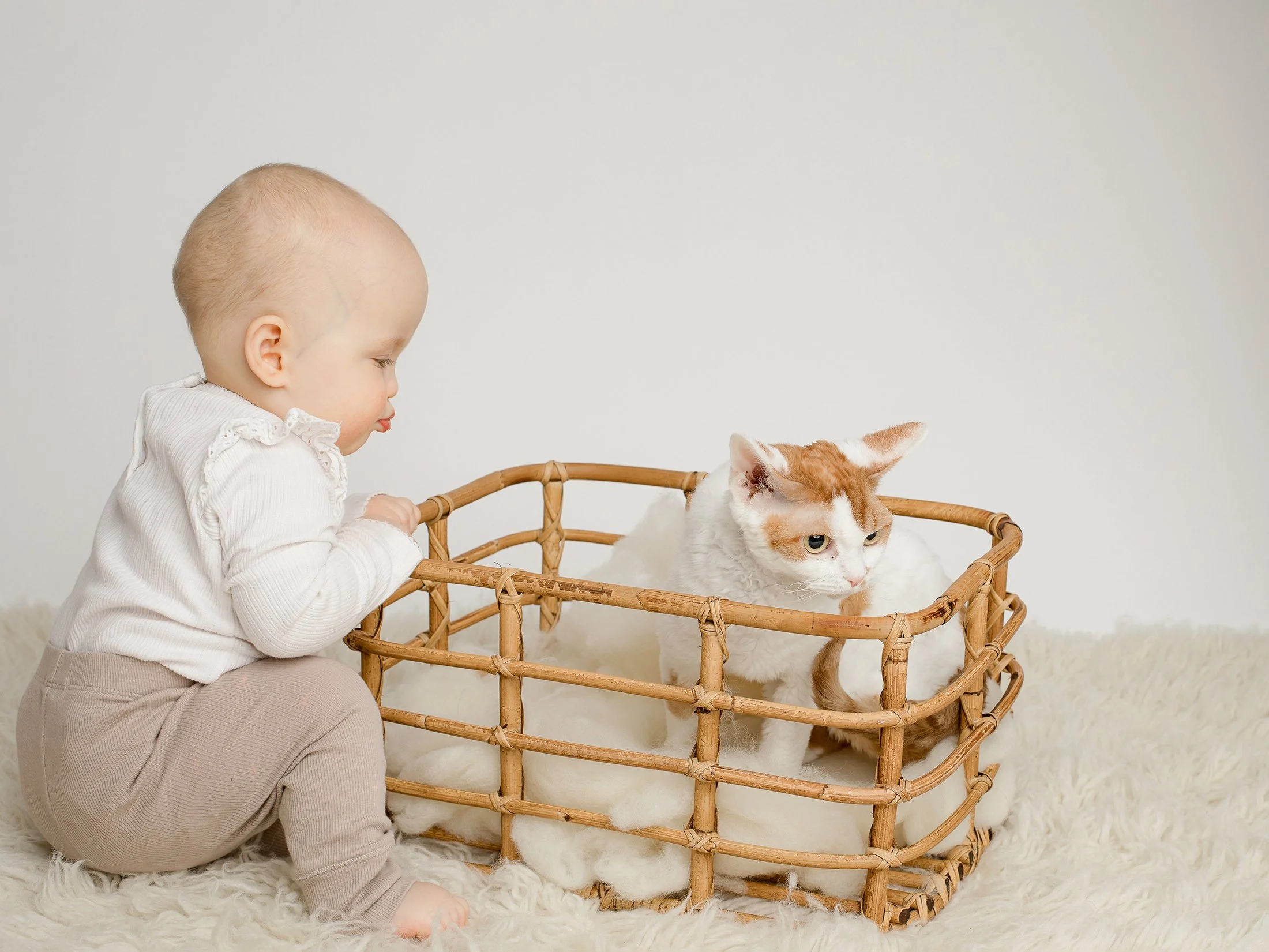 Lemmikit kuvaukseen mukaan