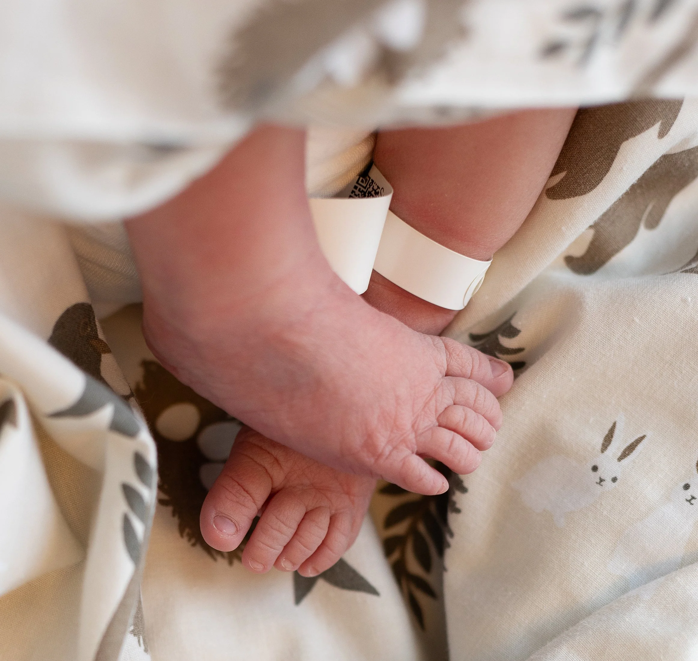 fresh48 vauvakuvaus kotka.jpg