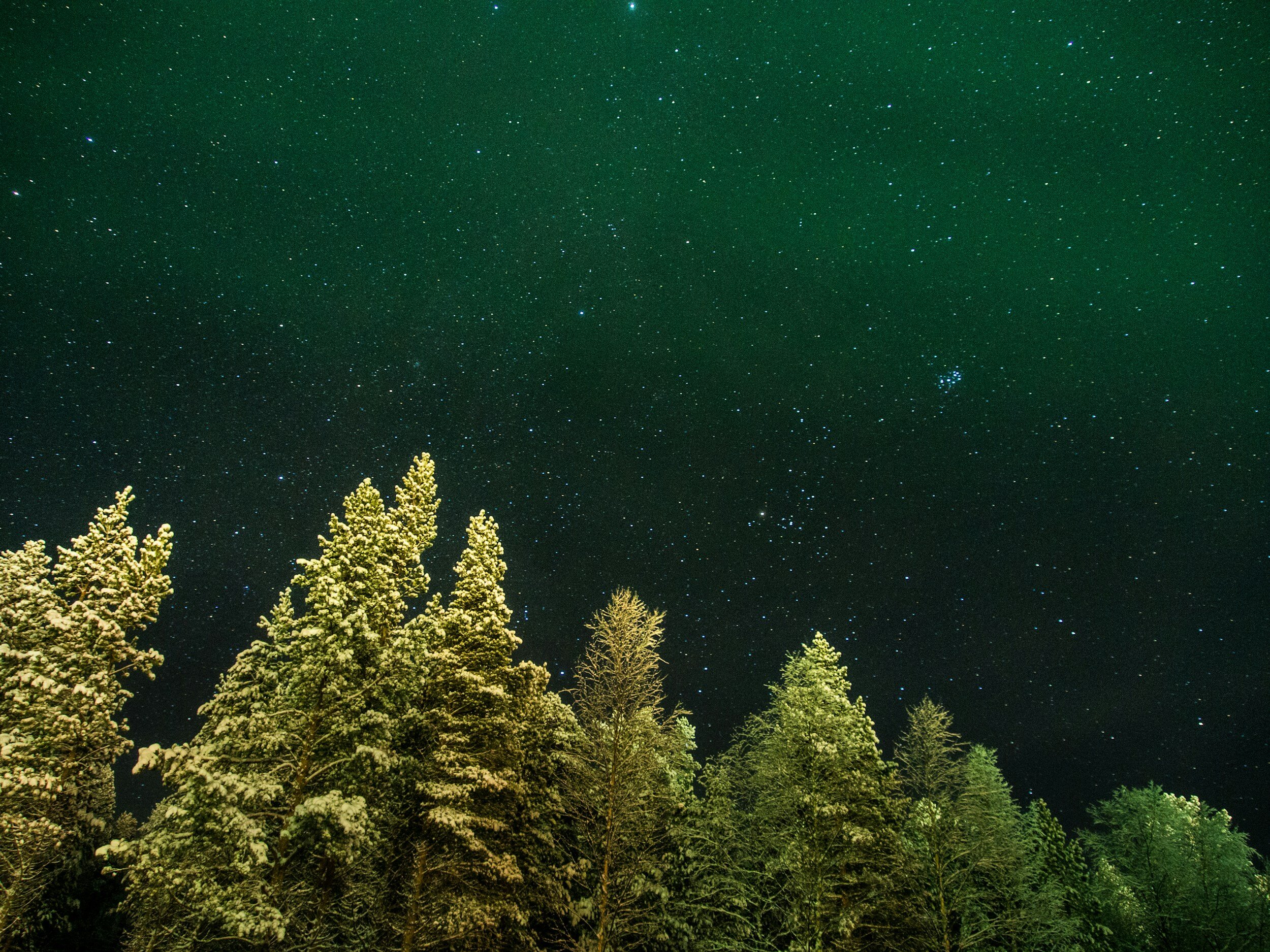 The Healing Power of Green Auras: Discovering Balance and Harmony