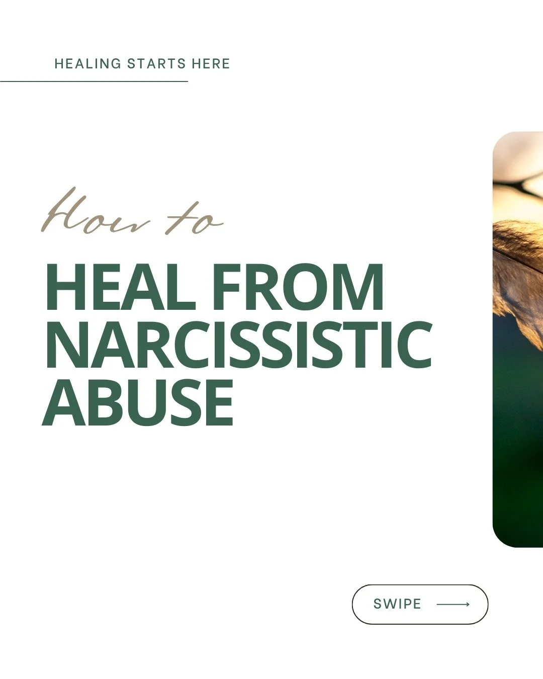 Healing from narcissistic abuse isn&rsquo;t just about &ldquo;moving on,&quot; it&rsquo;s about reclaiming your safety, your voice, your boundaries and your sense of self.

It starts with understanding what happened, so you can stop blaming yourself&