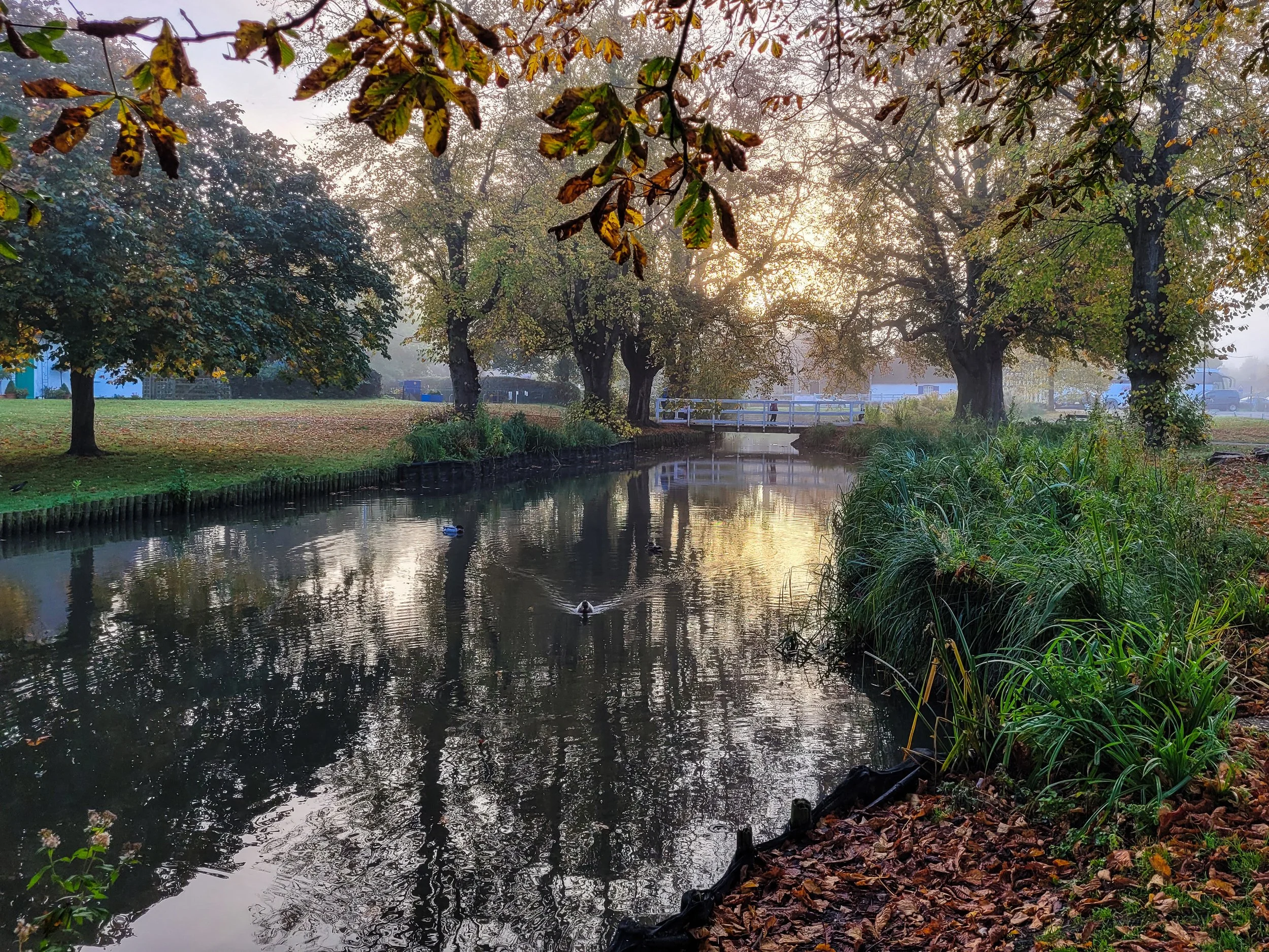 November; Histon Green and Brook on a cold Autumn morning; Photo by David Jenkins