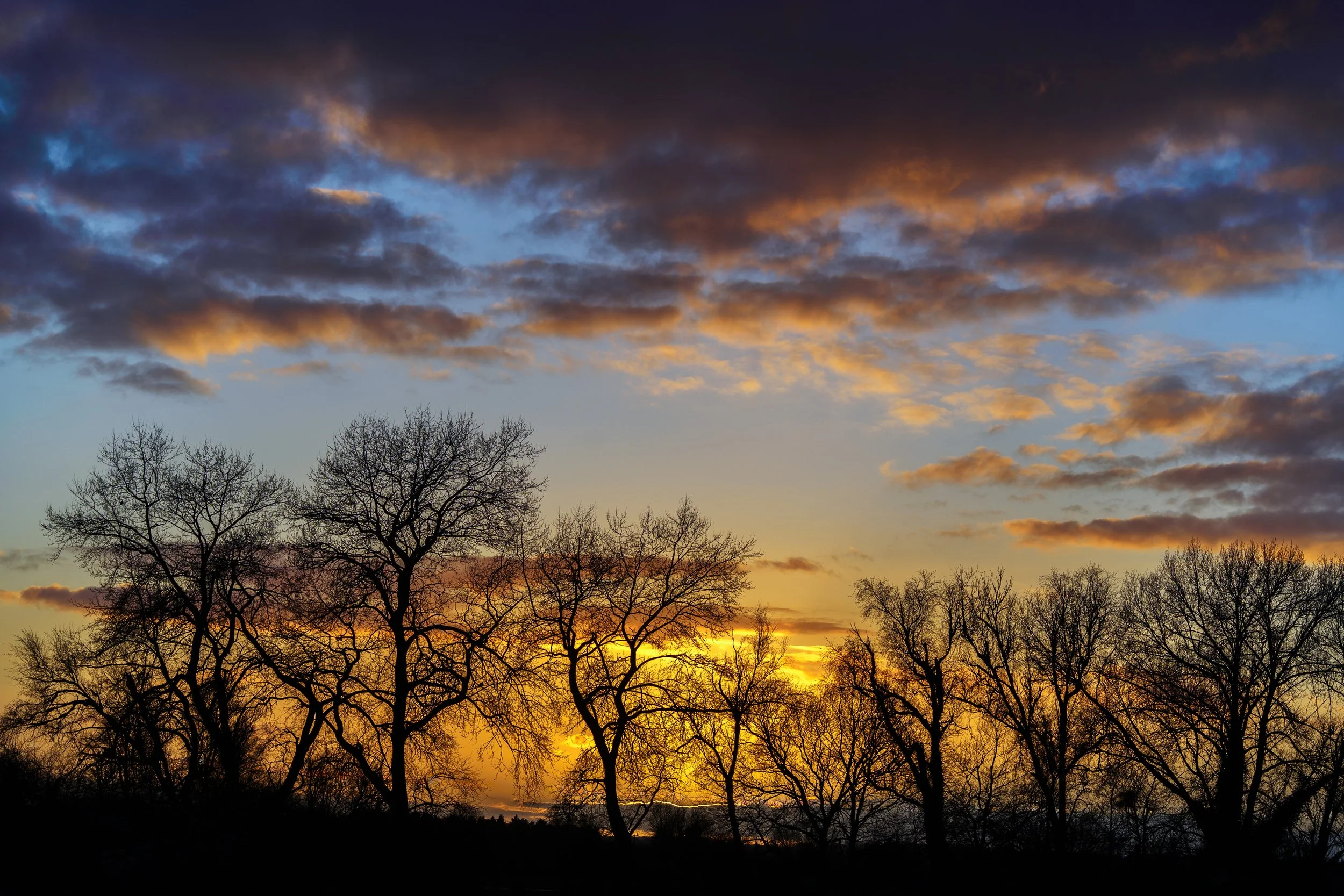 December; Sunset from Long Meadow; Photo by David Jenkins