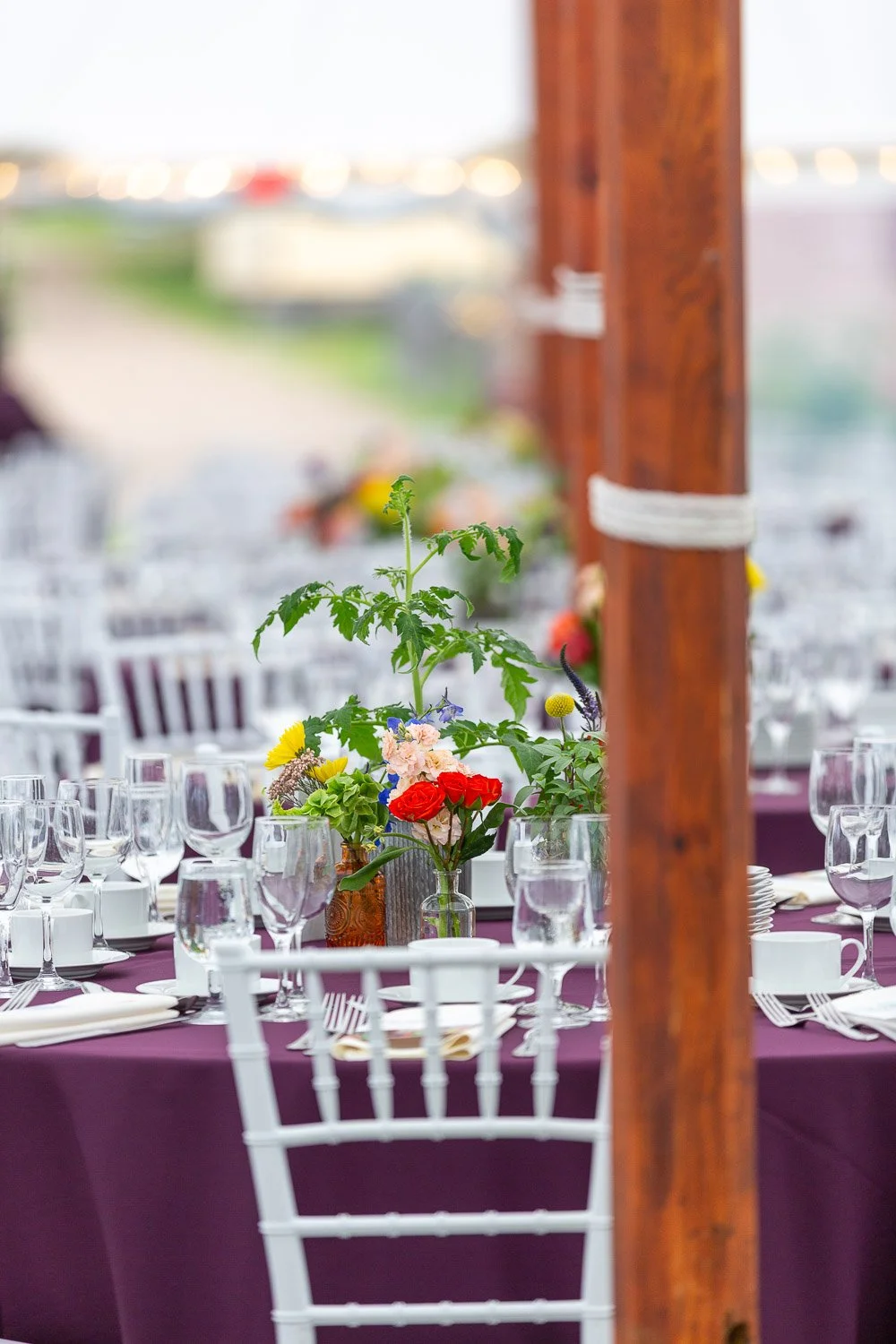 Gather Gala: A Tent Full of Light and Purpose
