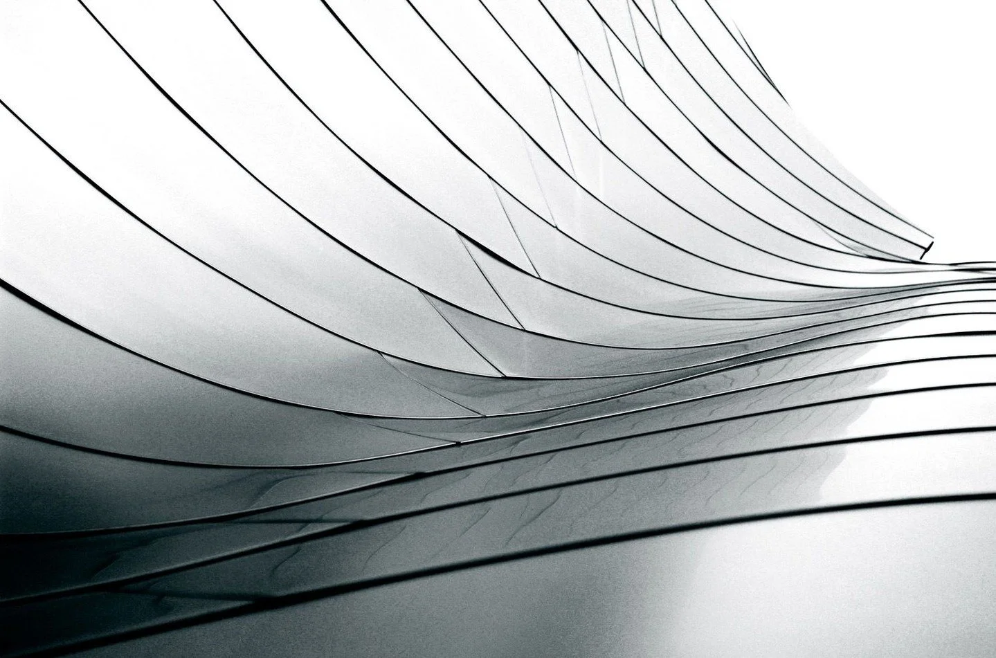 One of the first photographs I ever made that felt like more than a snapshot.

I was standing under the Walt Disney Concert Hall in Los Angeles, tracing how the steel curved into light. I didn&rsquo;t know it at the time, but this was the start of le