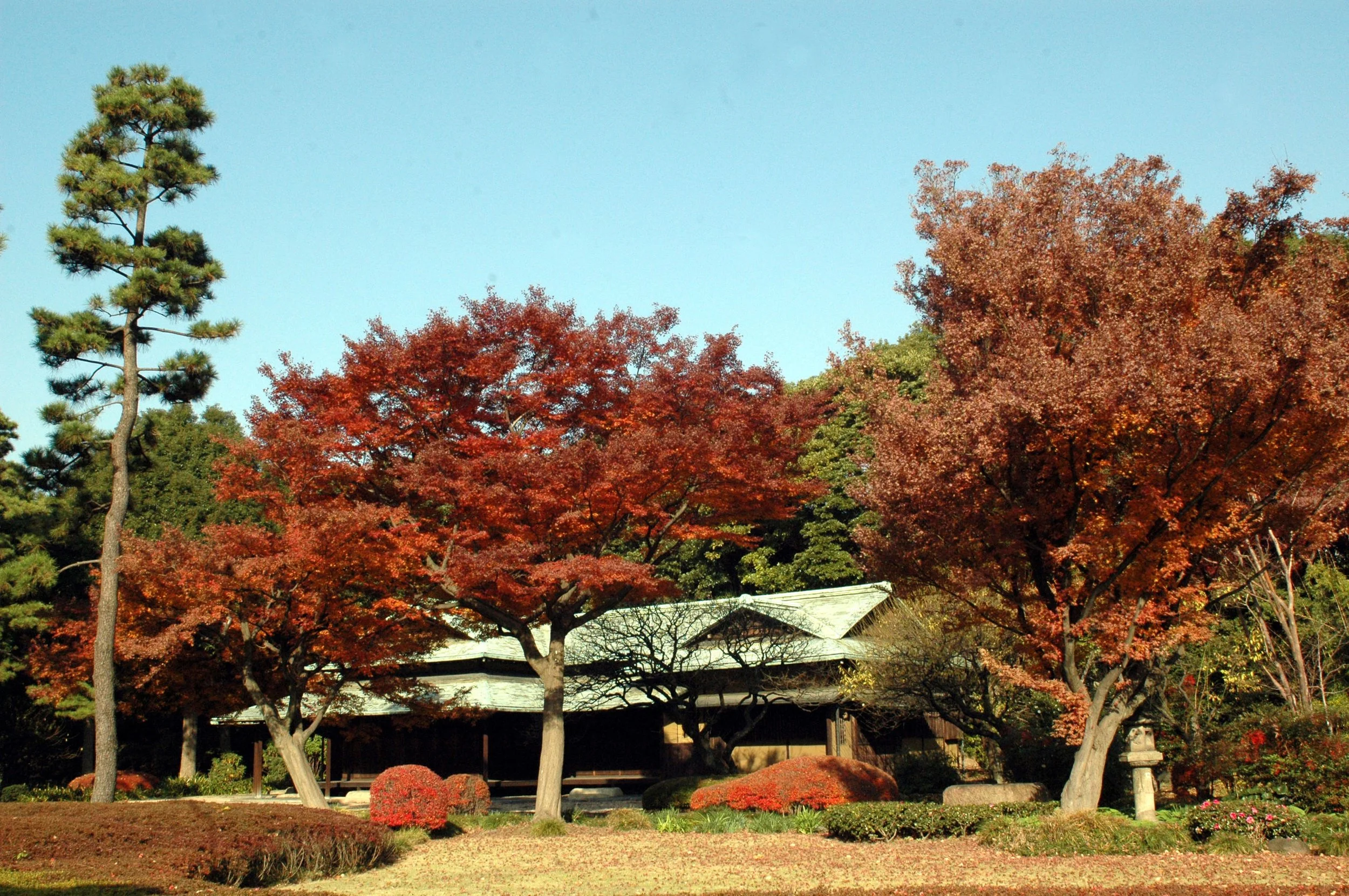Tokyo Imperial Palace - 14.jpg