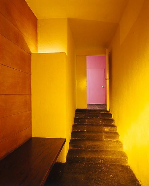 Casa Luis Barragan - 16.jpg