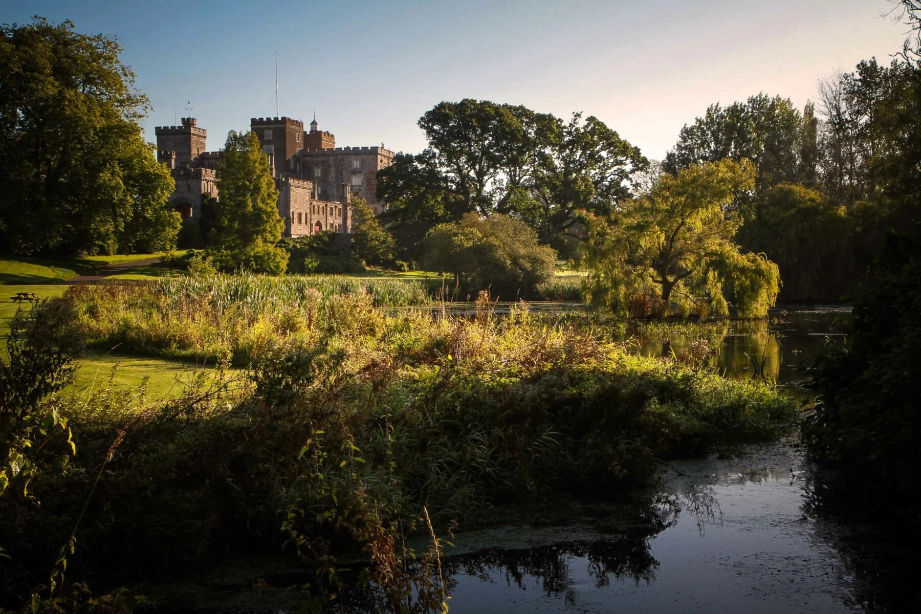 Powderham Castle - 11.jpg