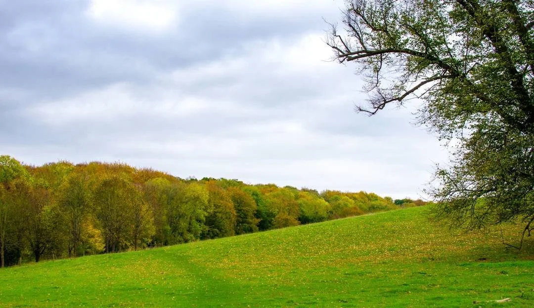 Basildon Park - 22.jpg