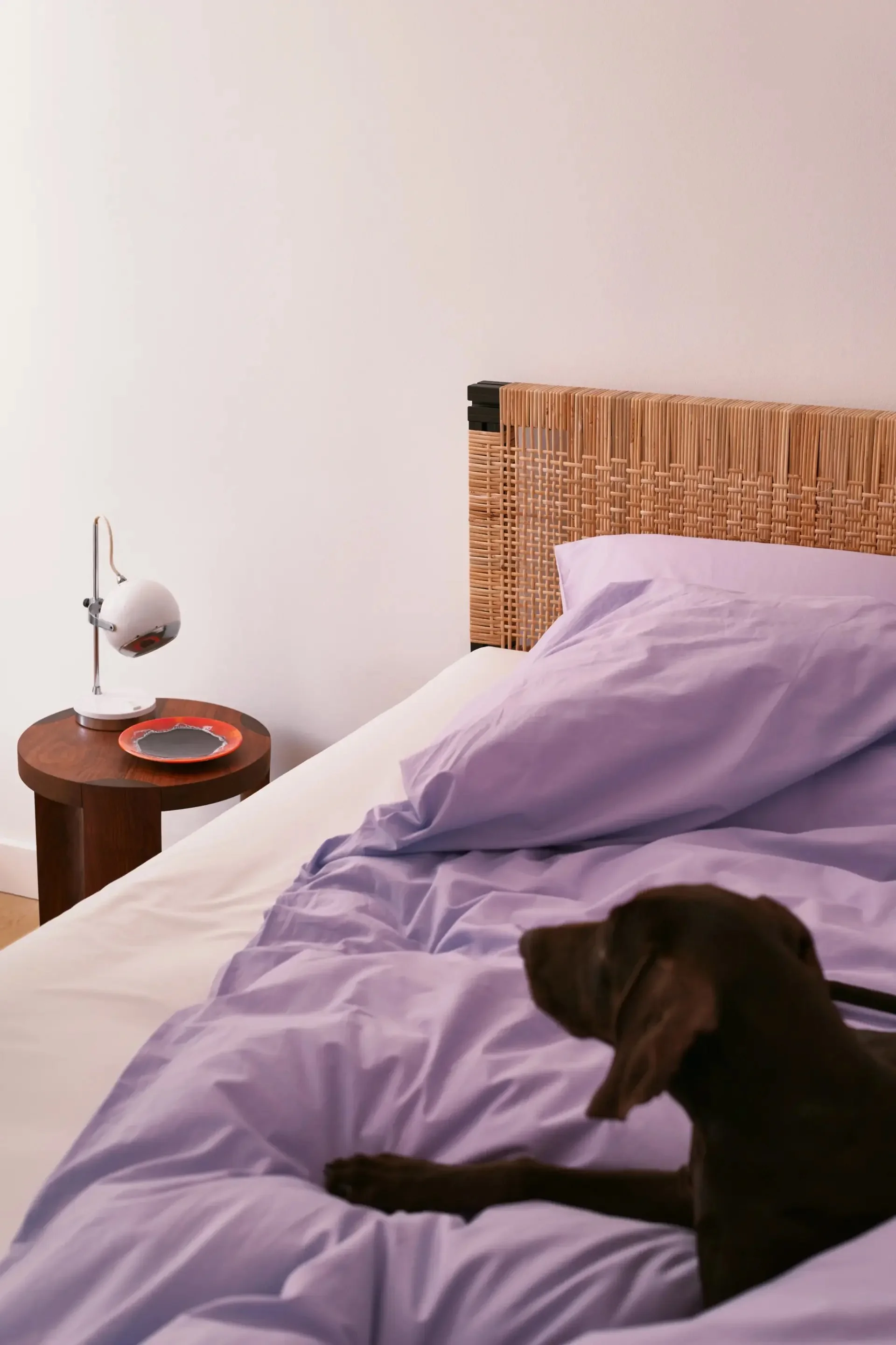Anodised Wicker Bed - 2.jpg