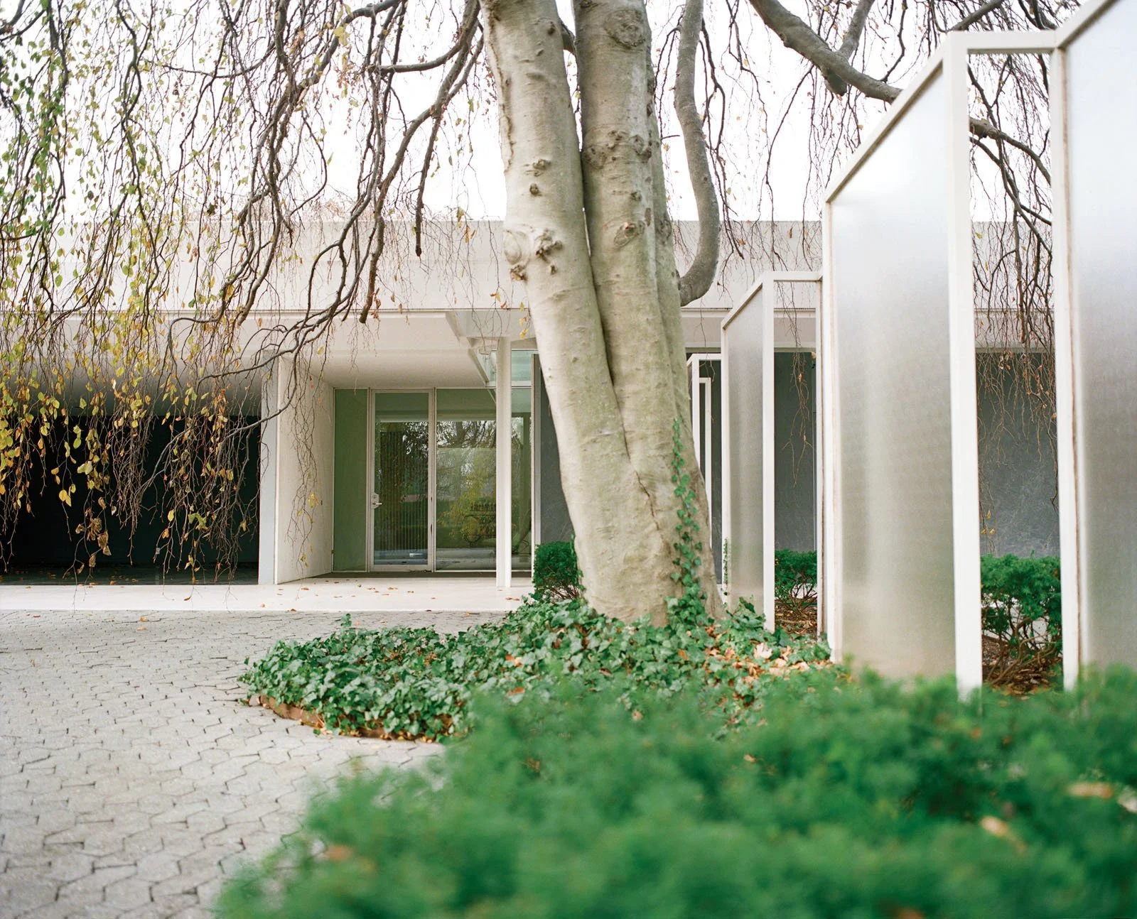 Miller House and Garden - 4.jpg