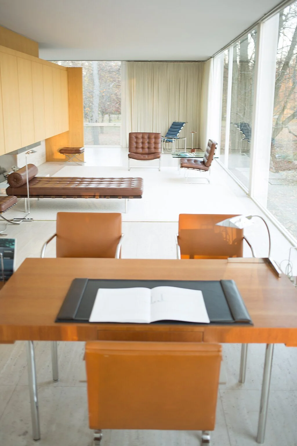 Farnsworth House - 13.jpg