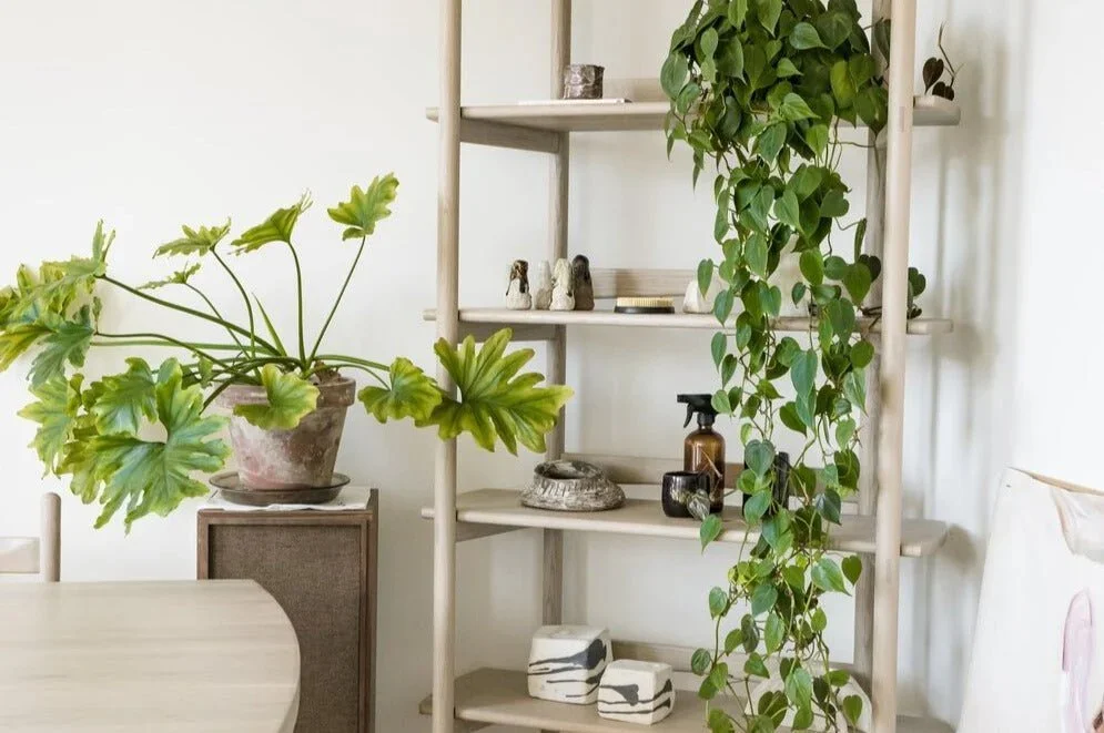 Mora Bookcase - 4.jpg