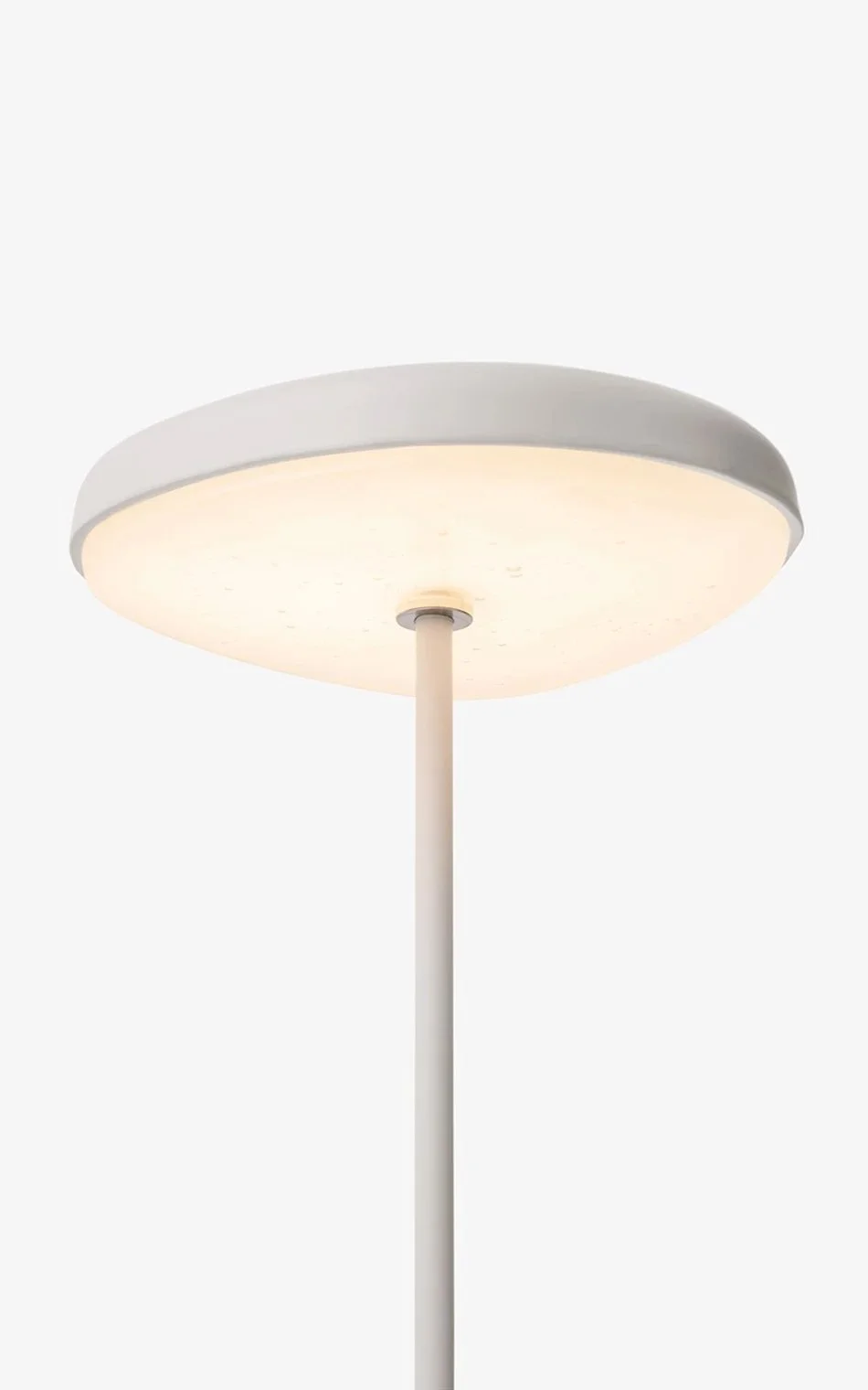 FUNGI TABLE LAMP #1 - 2.jpg