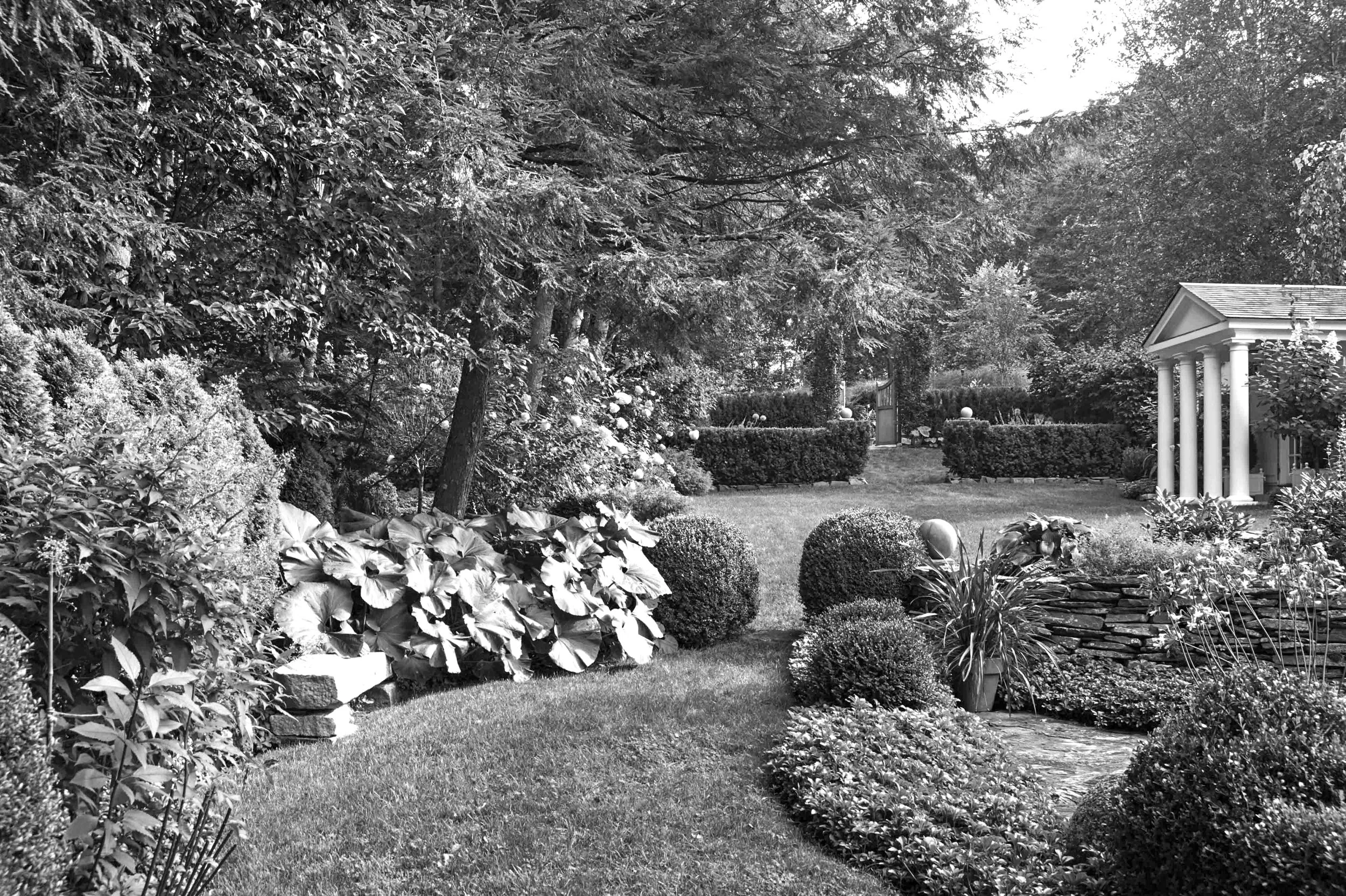 A black and white photograph of a landscaped garden with various shrubs, trees, and a small structure with columns on the right side.