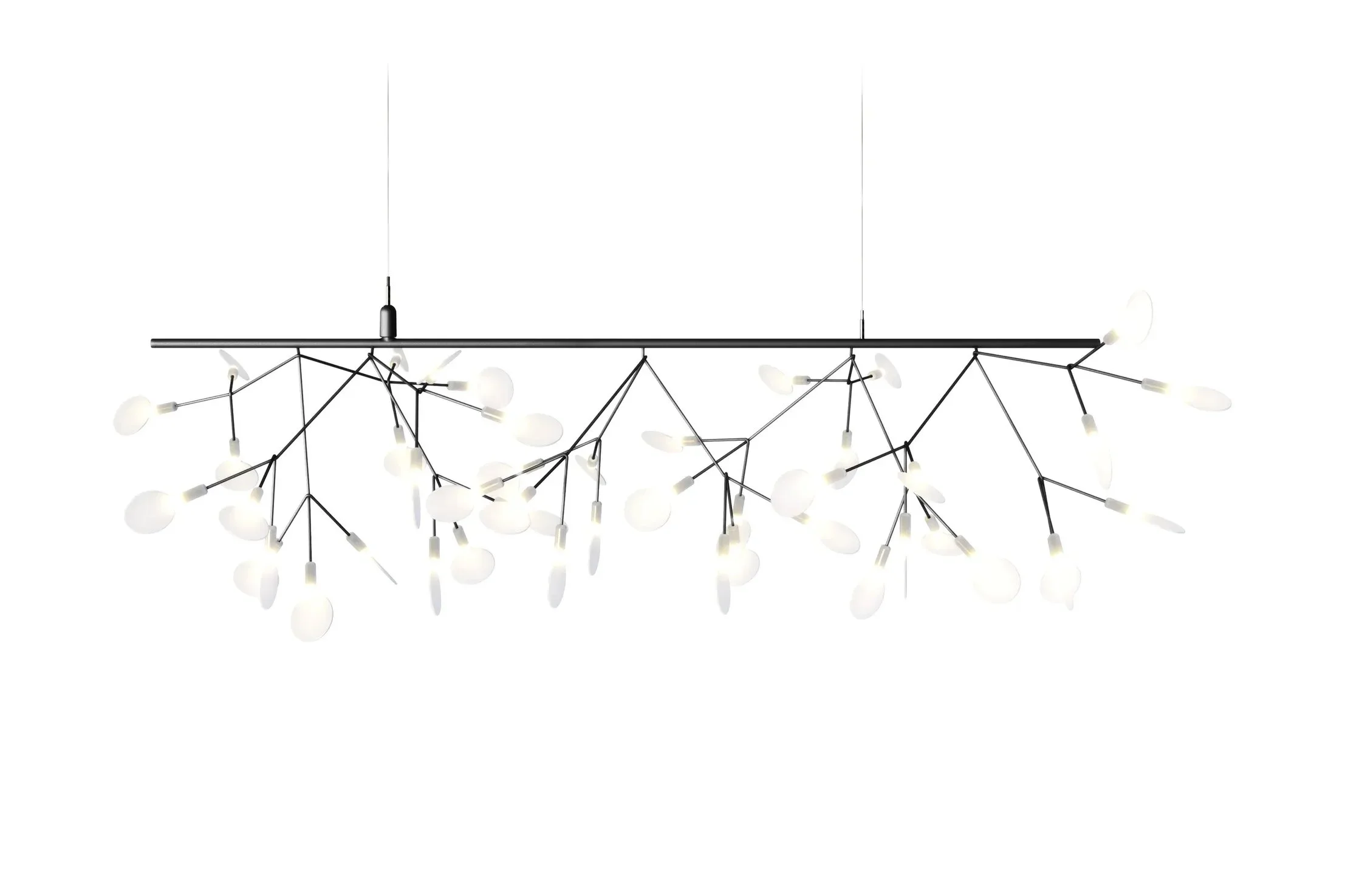 Heracleum III Endless - 1.jpg