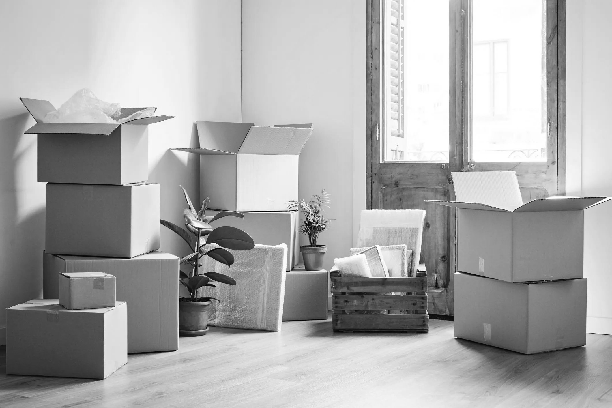 A room with several cardboard moving boxes stacked and arranged around, some open and some closed, with a potted plant on a cardboard box, and a window with wooden shutters letting in natural light.