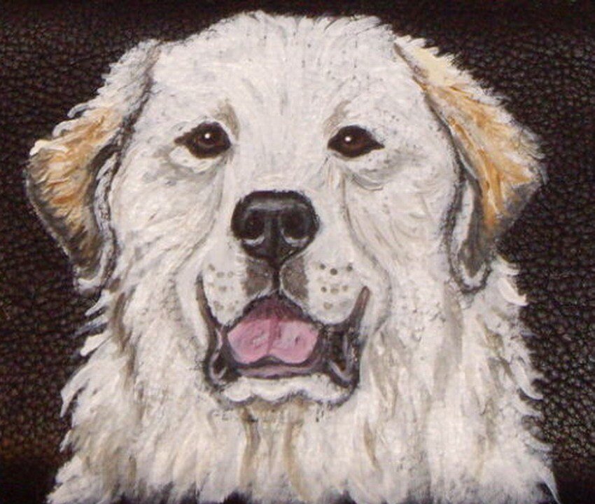 Great Pyrenees Dog Portrait Wallet for Men Custom hand Painted Leather