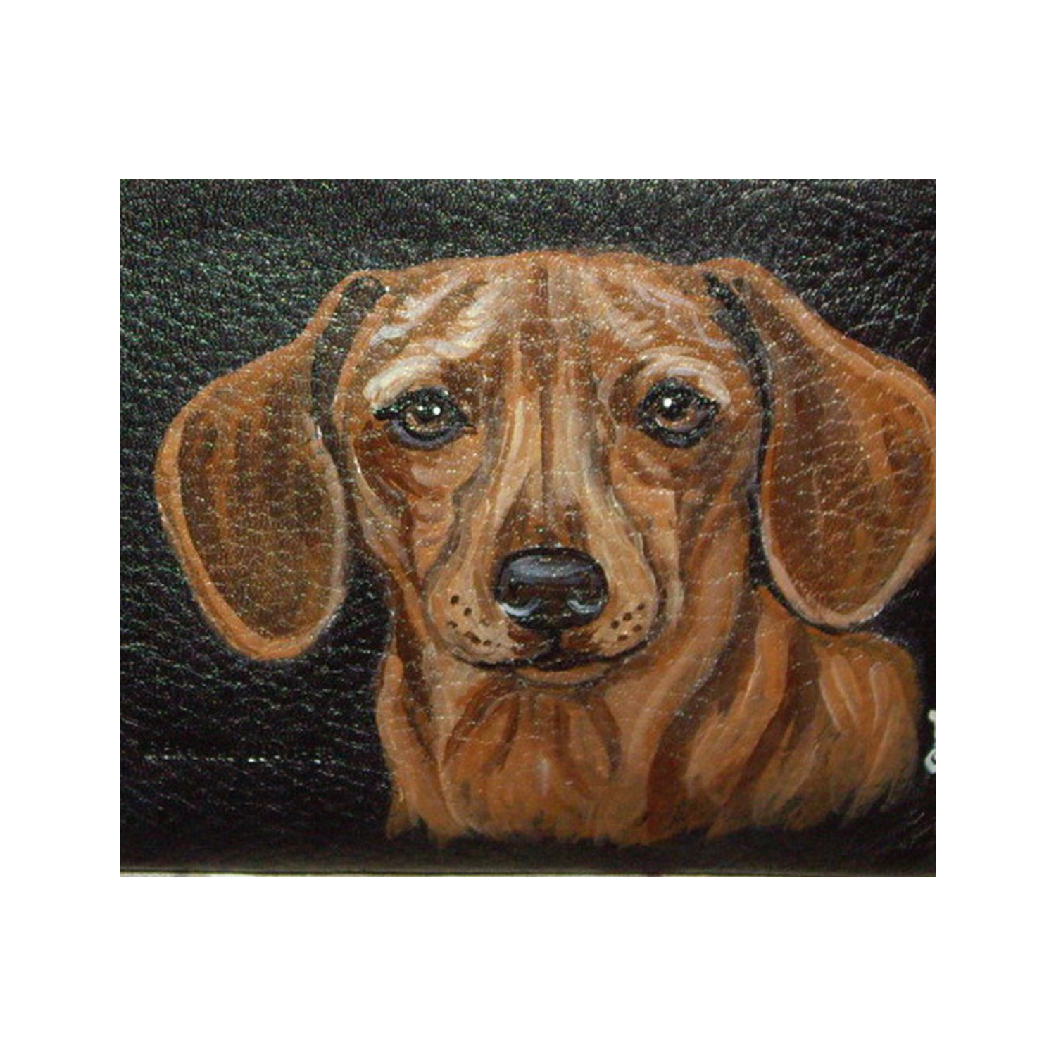red dachshund dog wallet for men