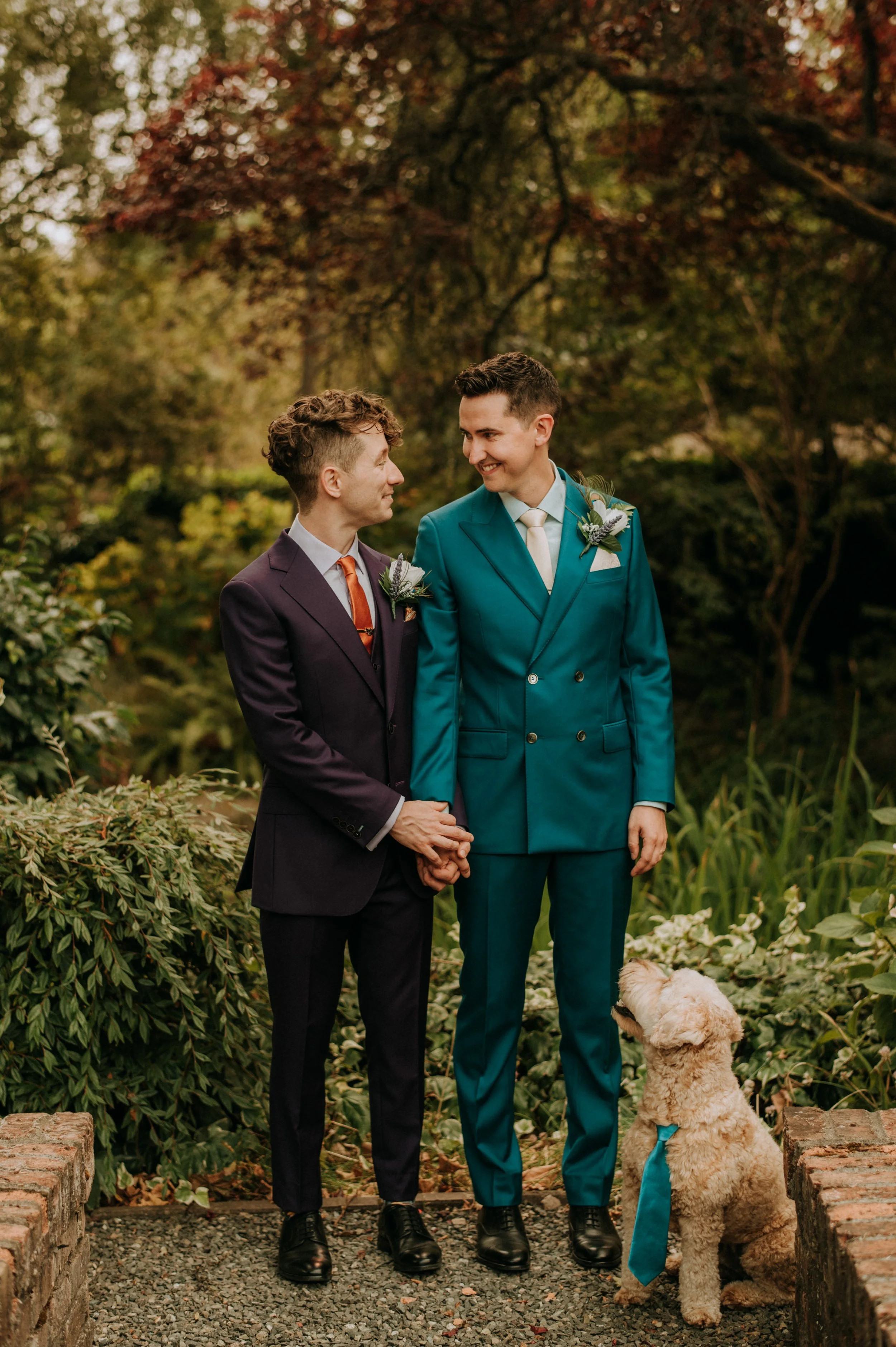 Two men in suits, holding hands, standing outdoors with lush green and autumn foliage, accompanied by a sitting dog wearing a blue tie, during a wedding or special event.