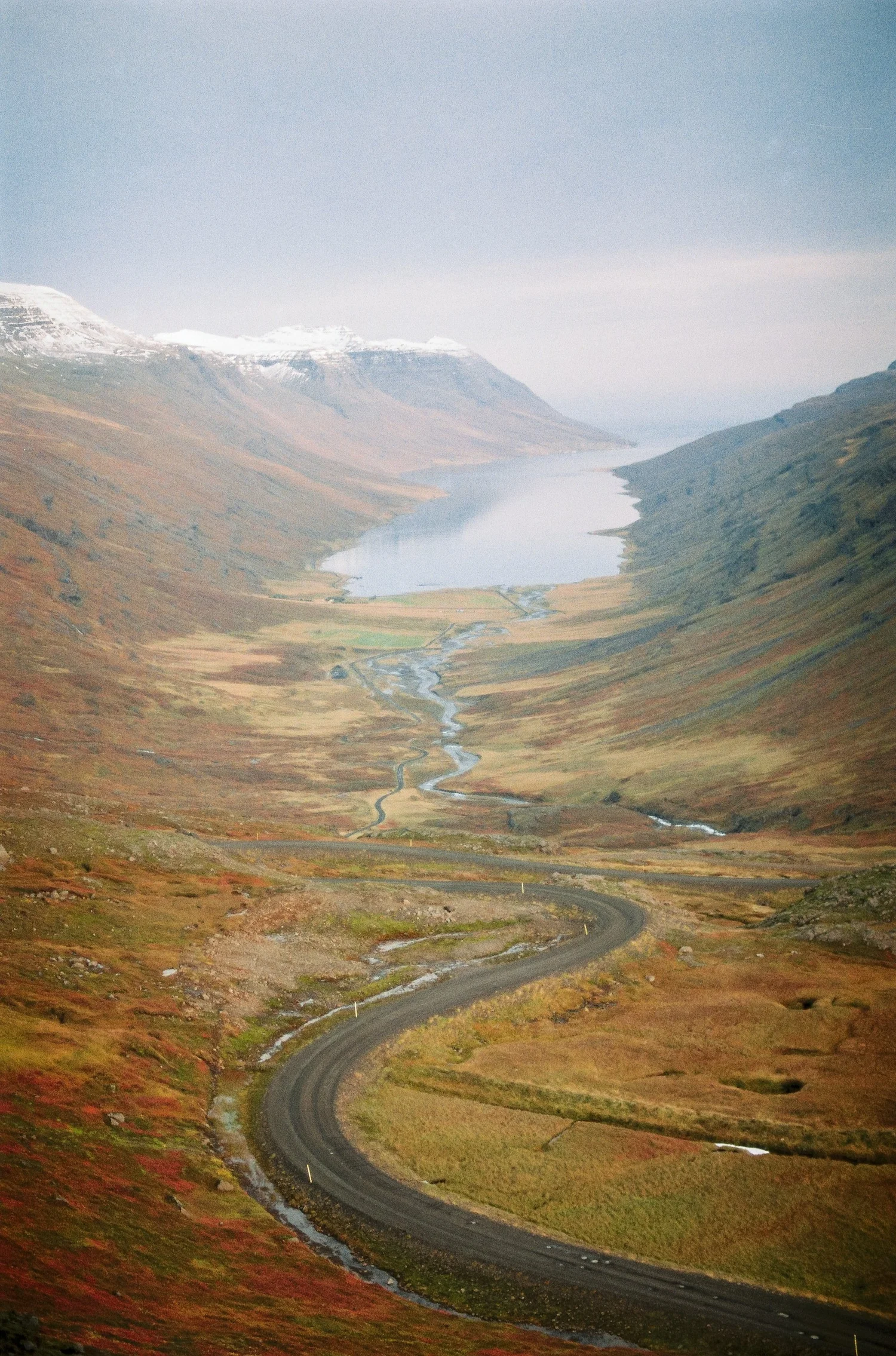 Eastfjords Adventures Seyðisfjörður Small Group And Private Guided