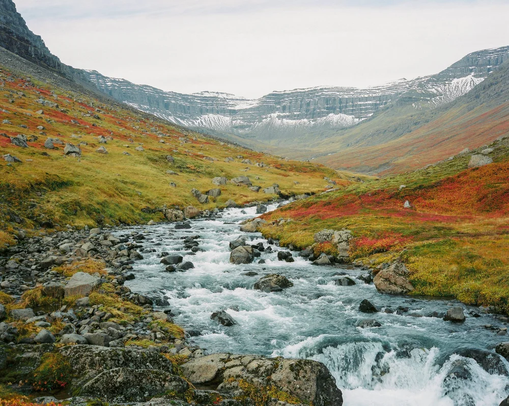 Eastfjords Adventures Seyðisfjörður Small Group And Private Guided