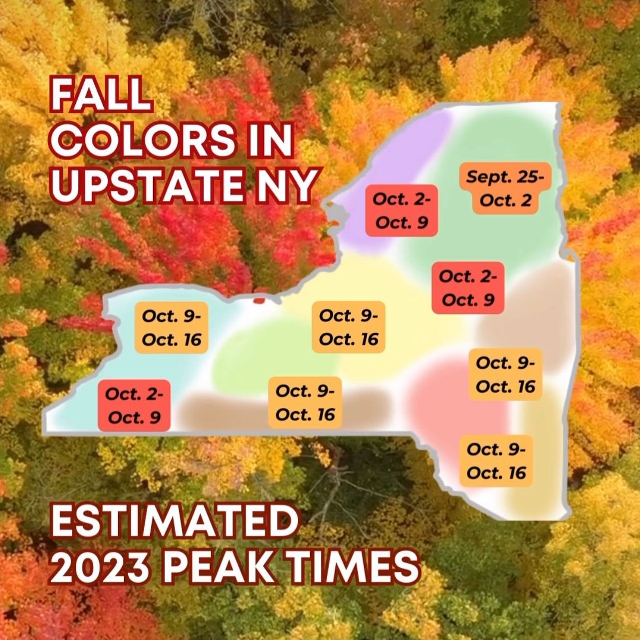 Fall is one of the most magical times in the Catskills! Gorgeous leaf-peeping, apple-picking, perfect weather for hikes and fun breweries and restaurants to check out! 
.
We are almost full for the rest of the season but just released some rooms duri