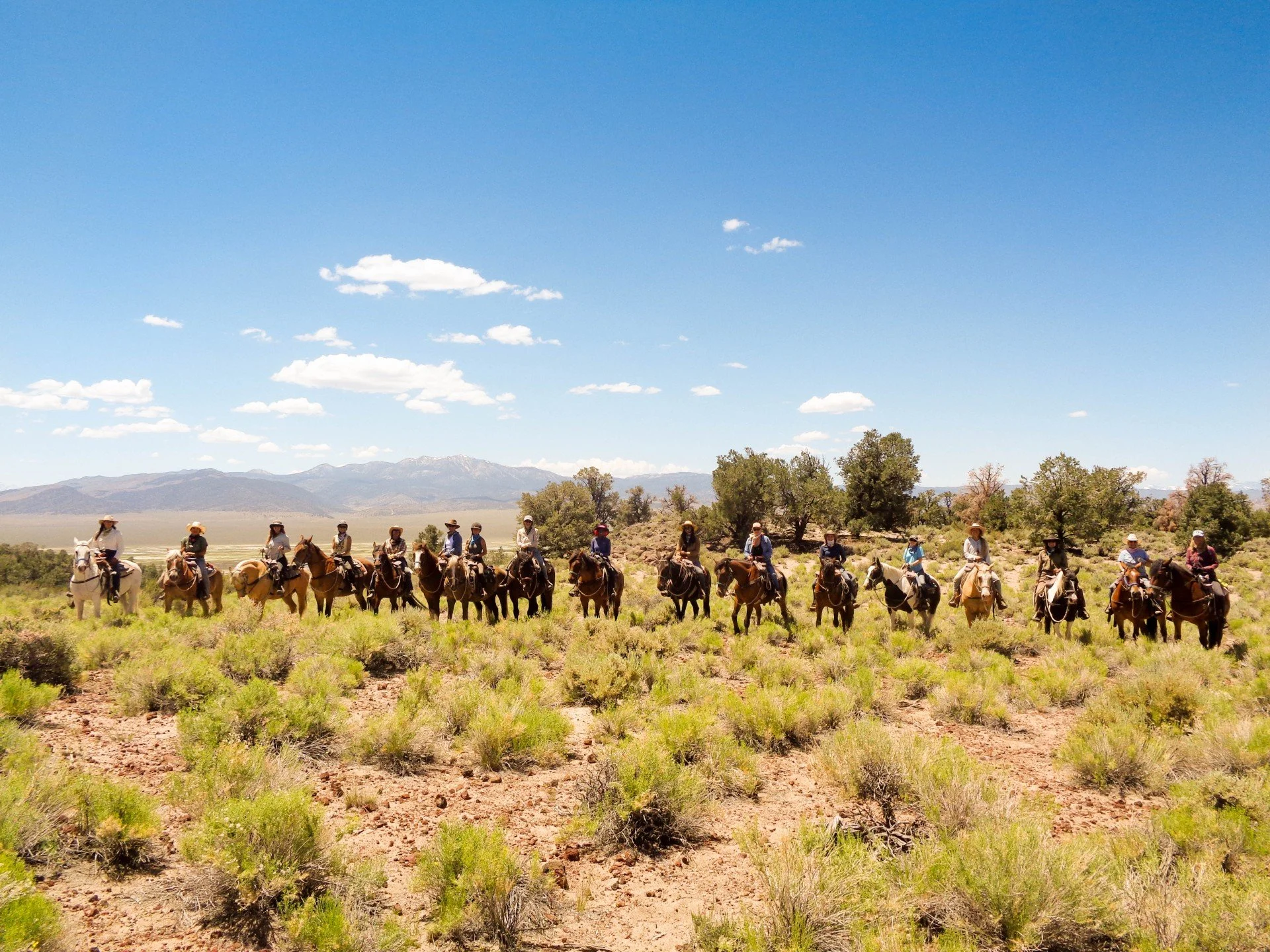 A Wild Mustang Ride for Equine Leadership Training with Marycay Durrant
