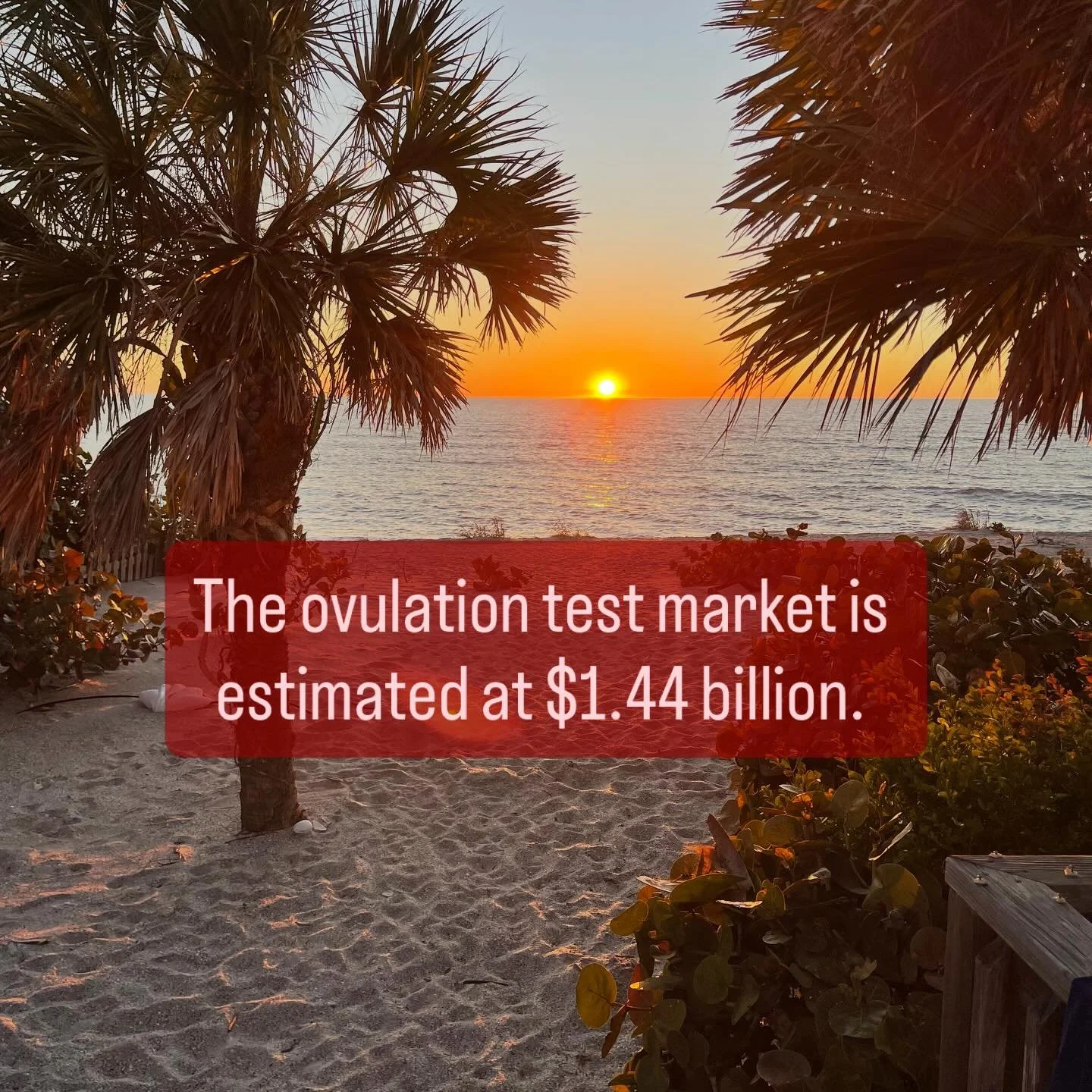 Did you know that women in North America spent $1.44 billion dollars on ovulation tests in 2024? And that was only projected to increase in 2025 and 2026.

I LOVE that women are tracking. I LOVE that the conversation around fertility is getting loude