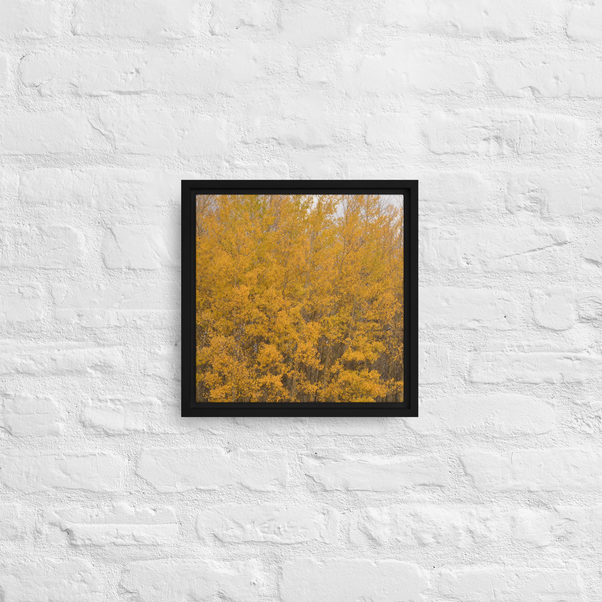framed-canvas-(in)-black-12x12-front-65ee714f3772c.jpg