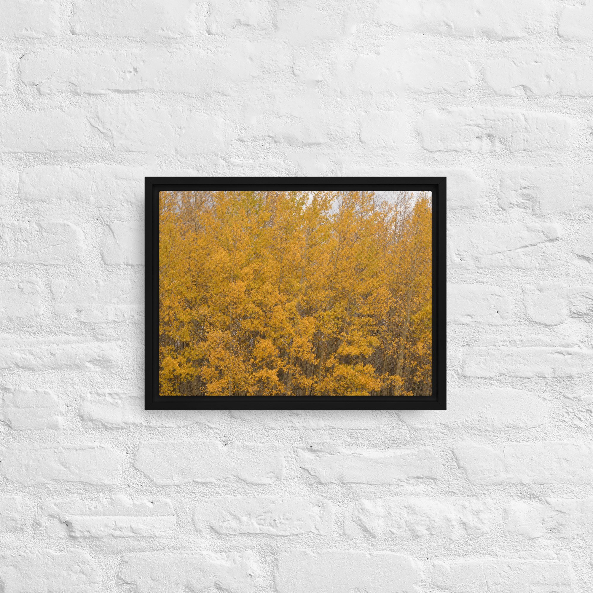 framed-canvas-(in)-black-12x16-front-65ee714f377ee.jpg