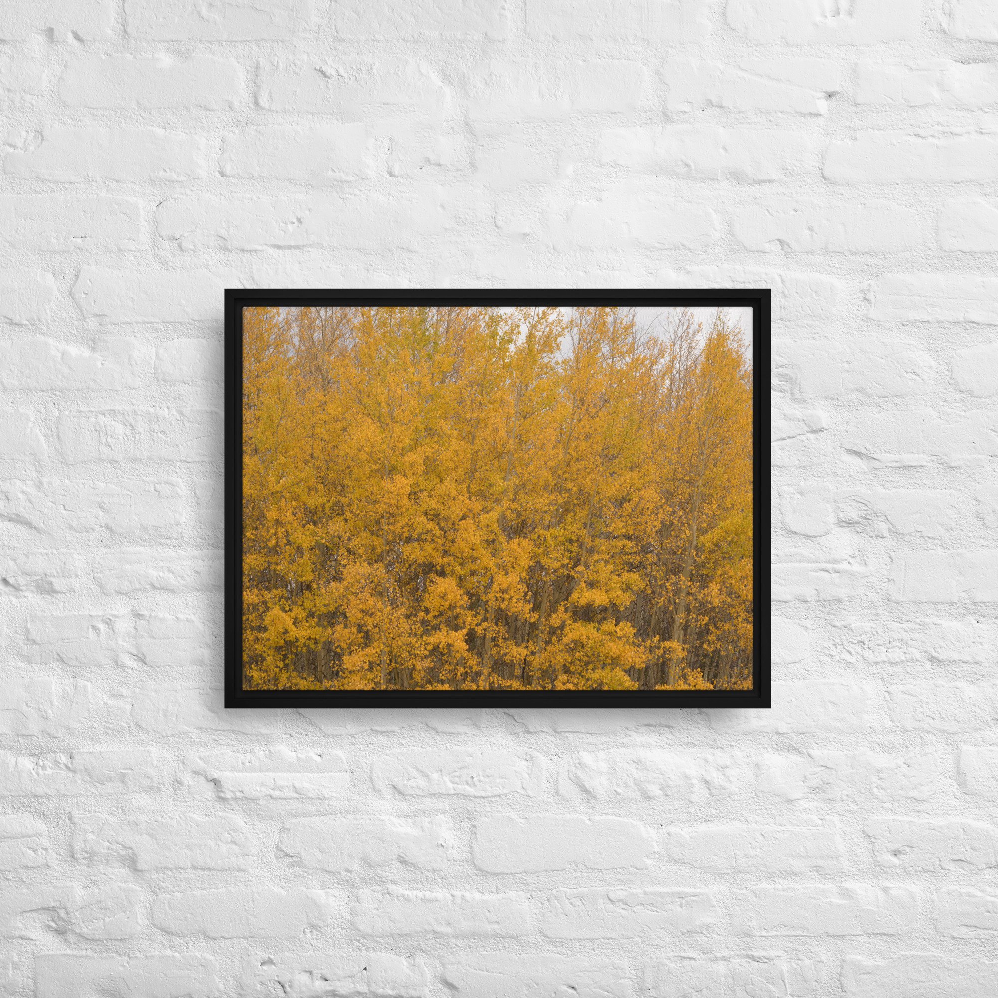 framed-canvas-(in)-black-18x24-front-65ee714f3798c.jpg